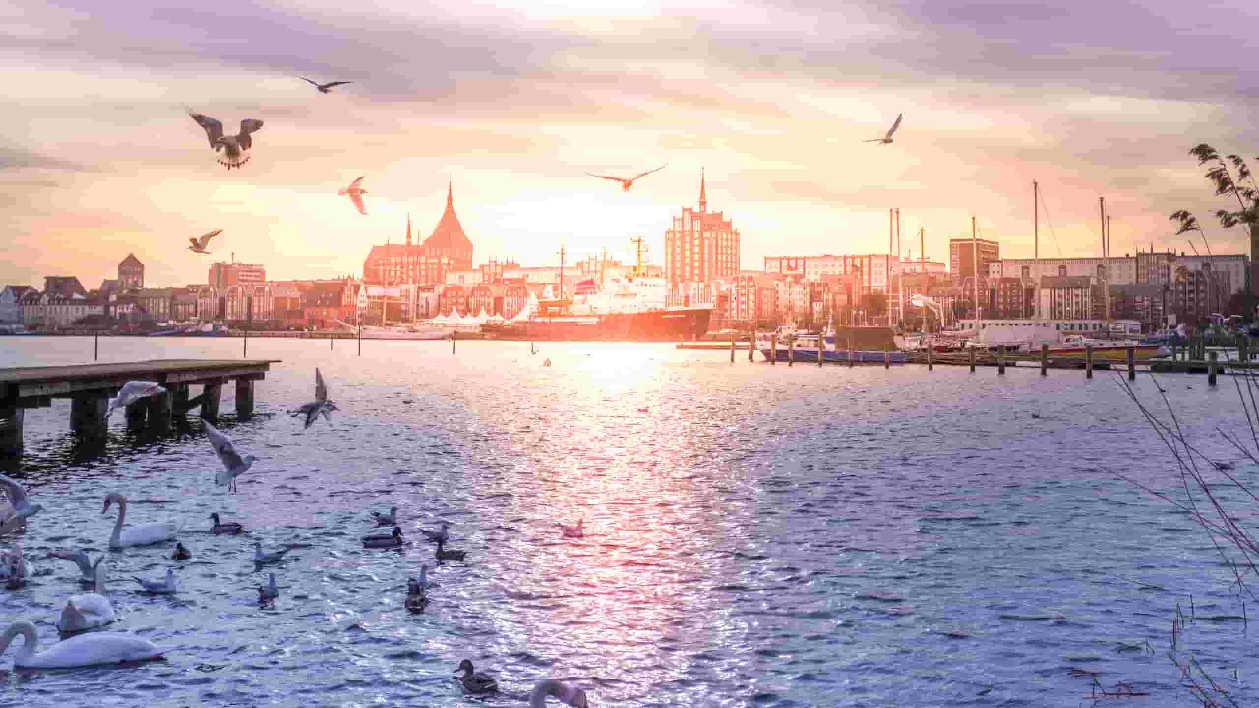 Find cheap flights to Rostock