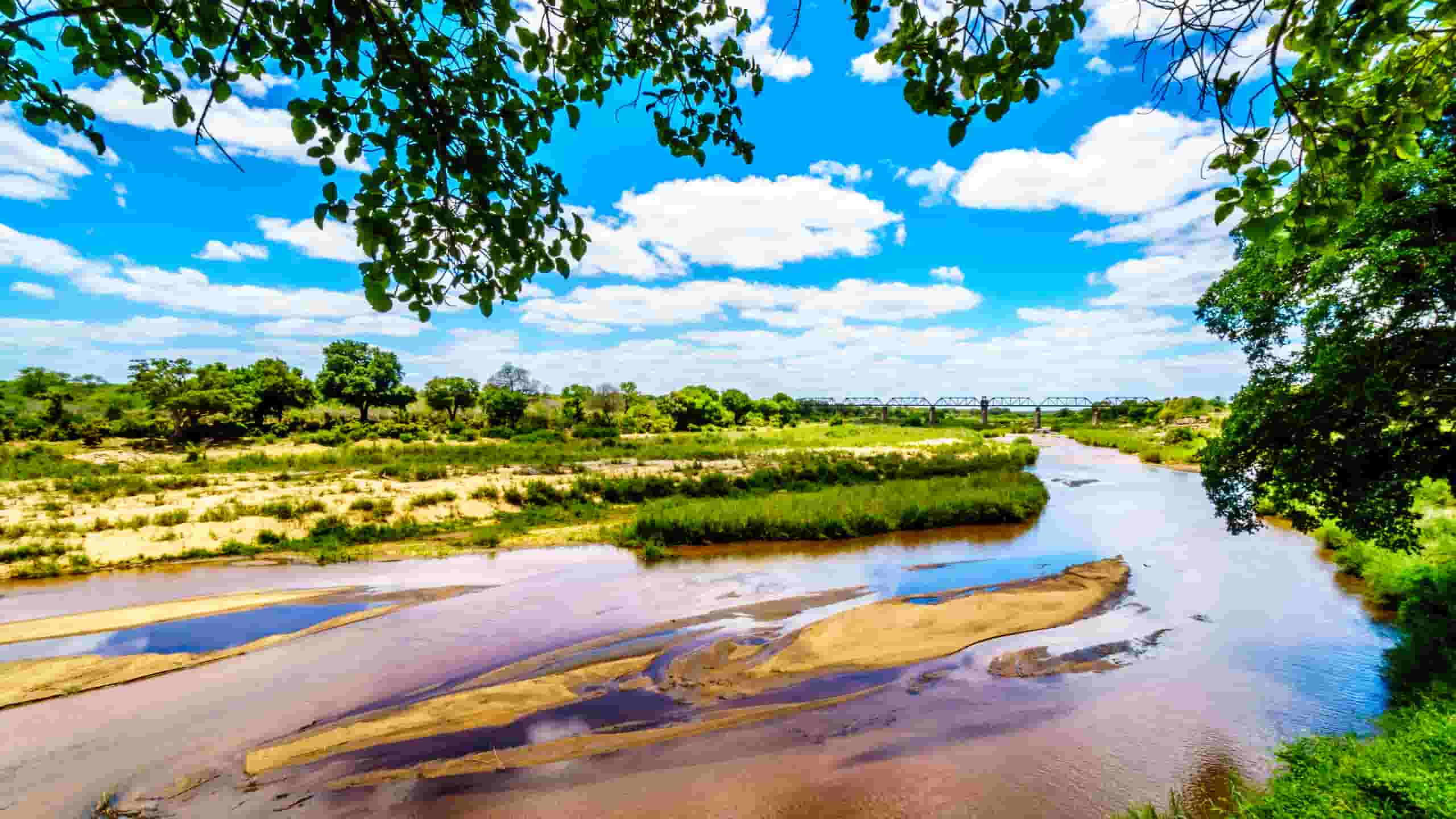 Trova voli economici per Sabi Sand Game Reserve