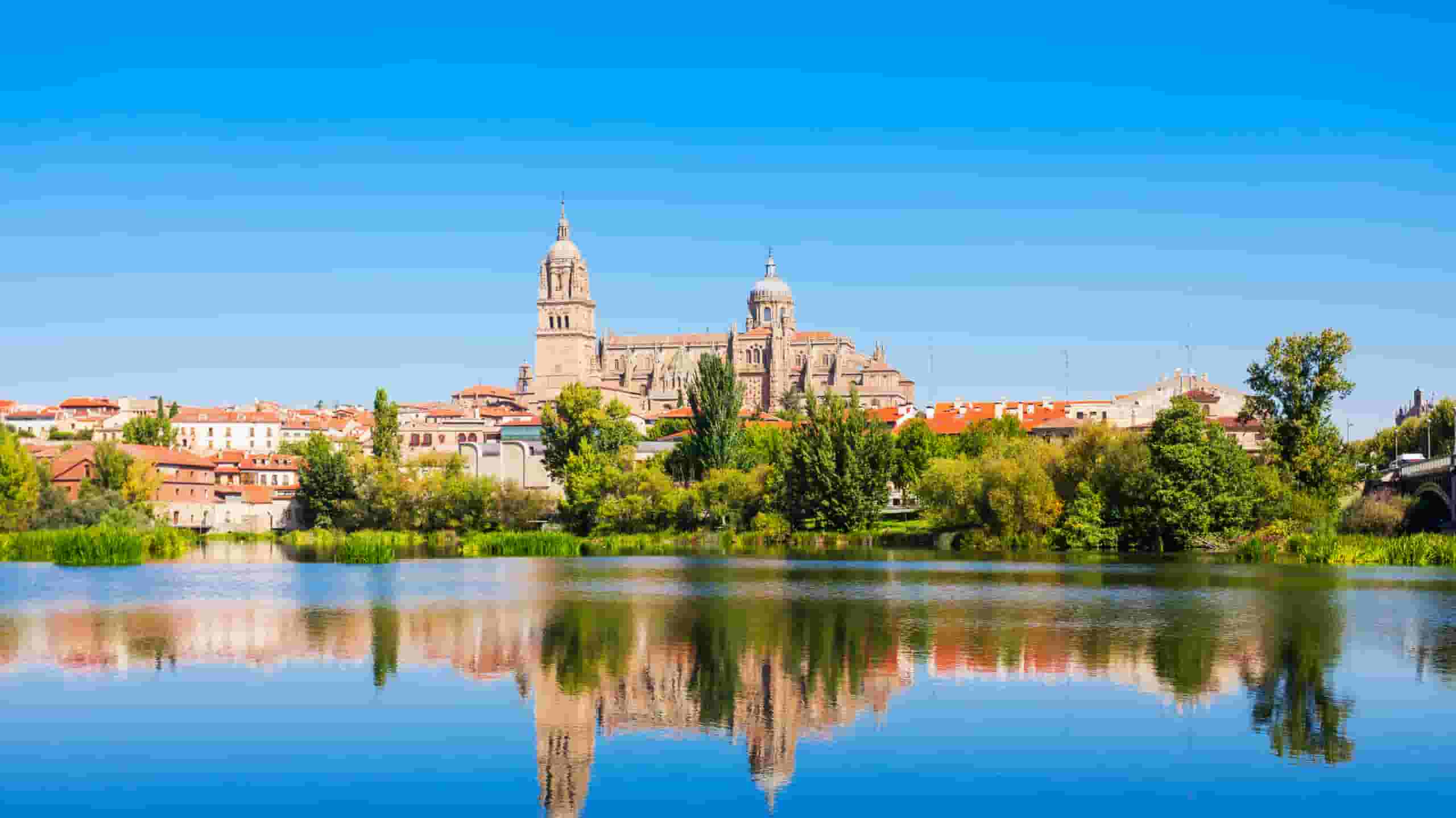 Trova voli economici to Salamanca
