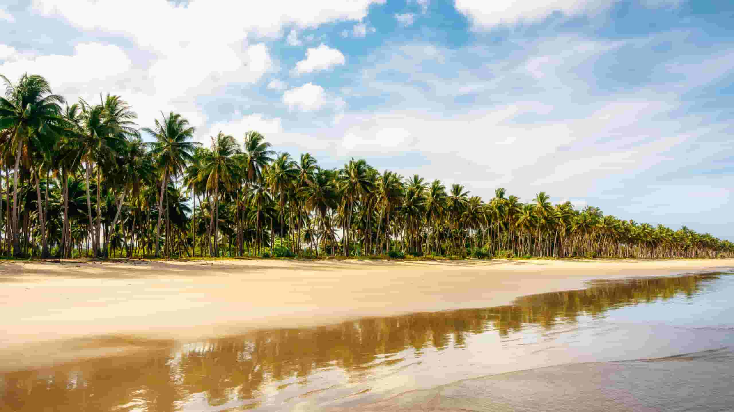 Find billige flybilletter to San Vicente