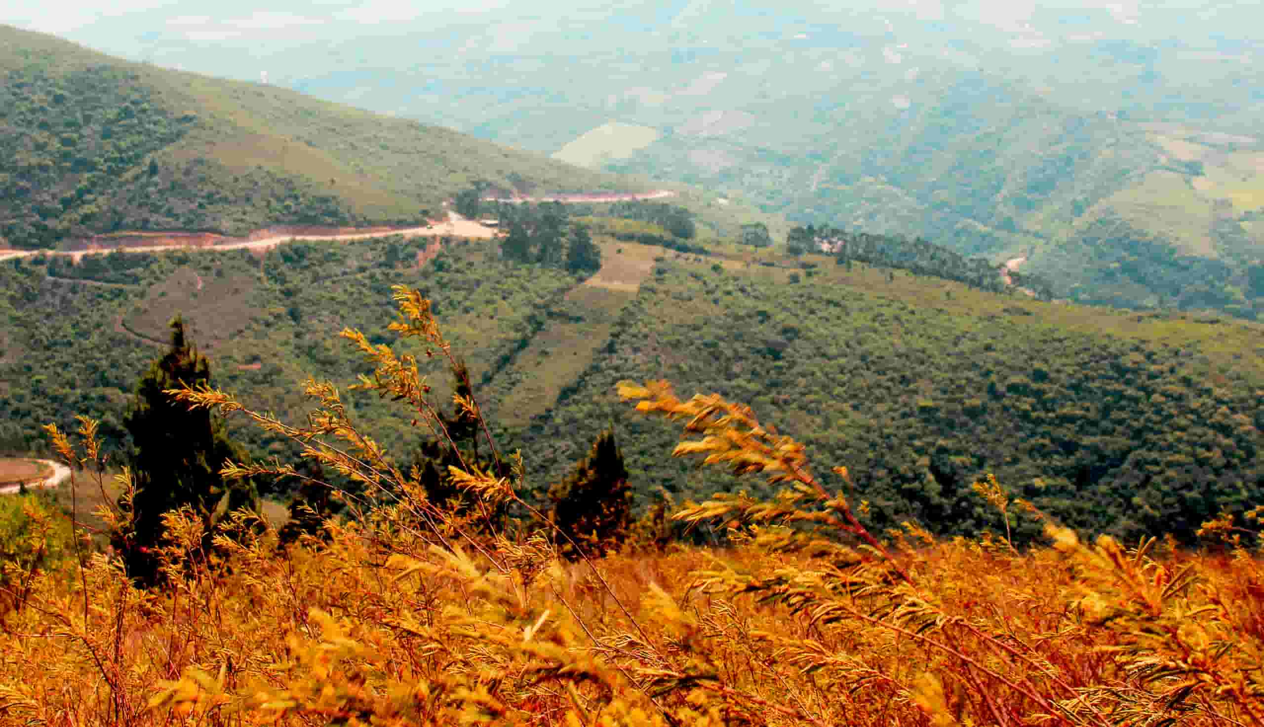 Wyszukaj tanie loty do Santa Cruz de la Sierra