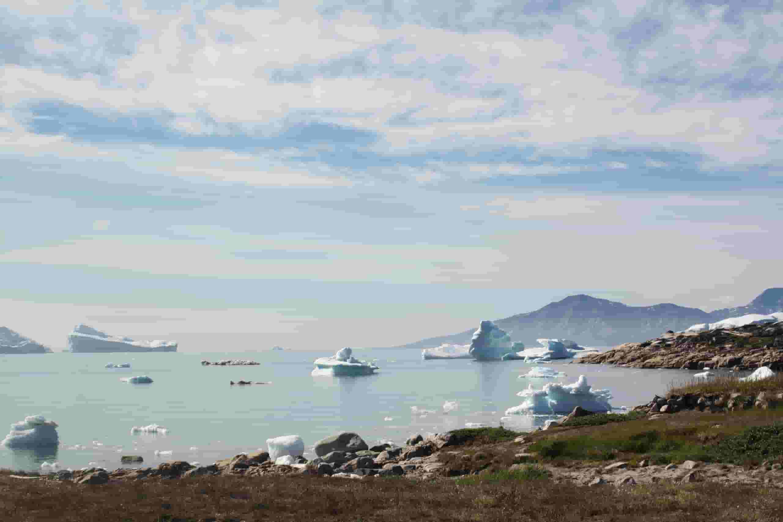 Trova voli economici per Saqqaq