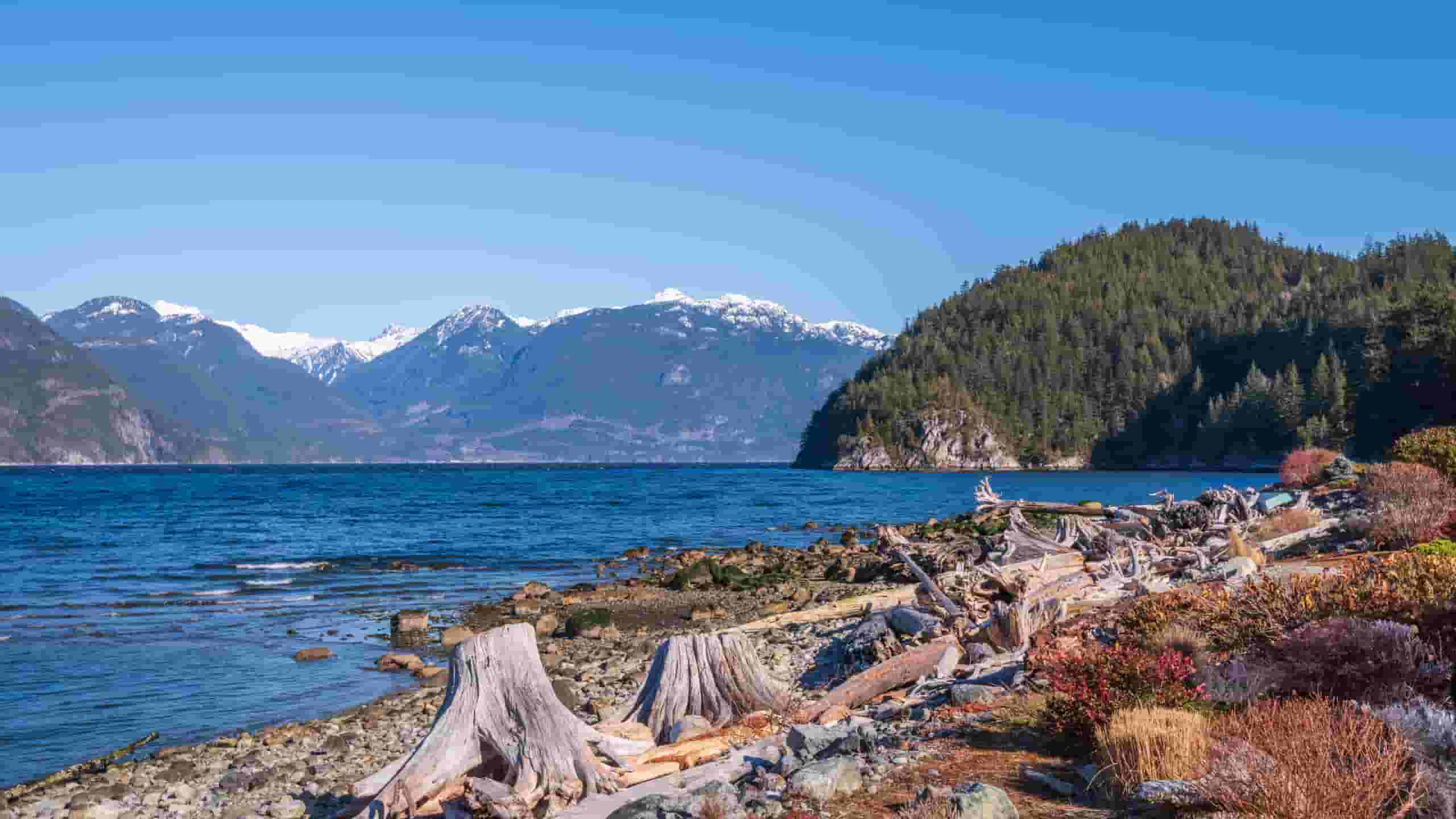 Find billige flybilletter til Sechelt