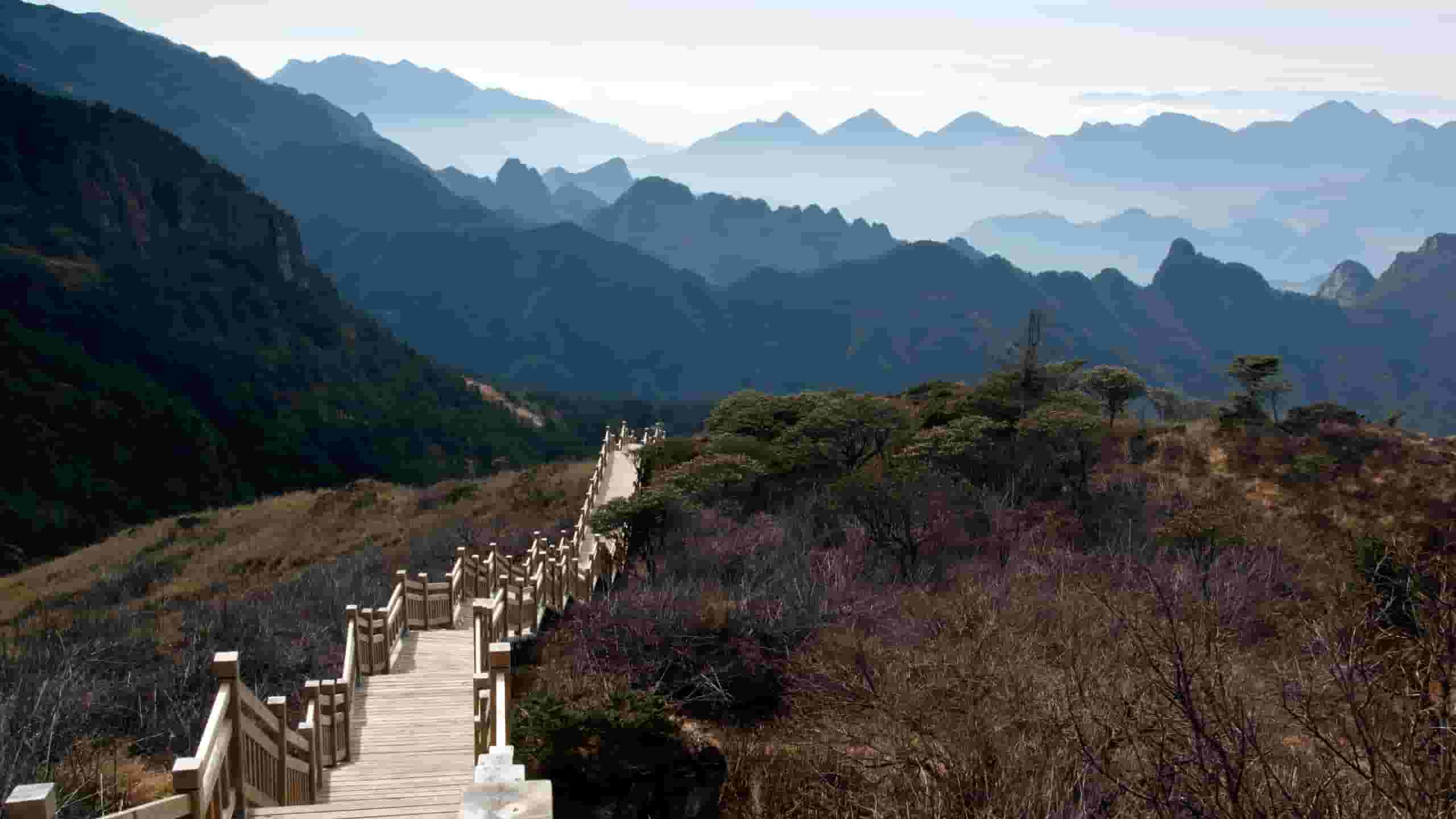 Находите дешевые авиабилеты to Shennongjia