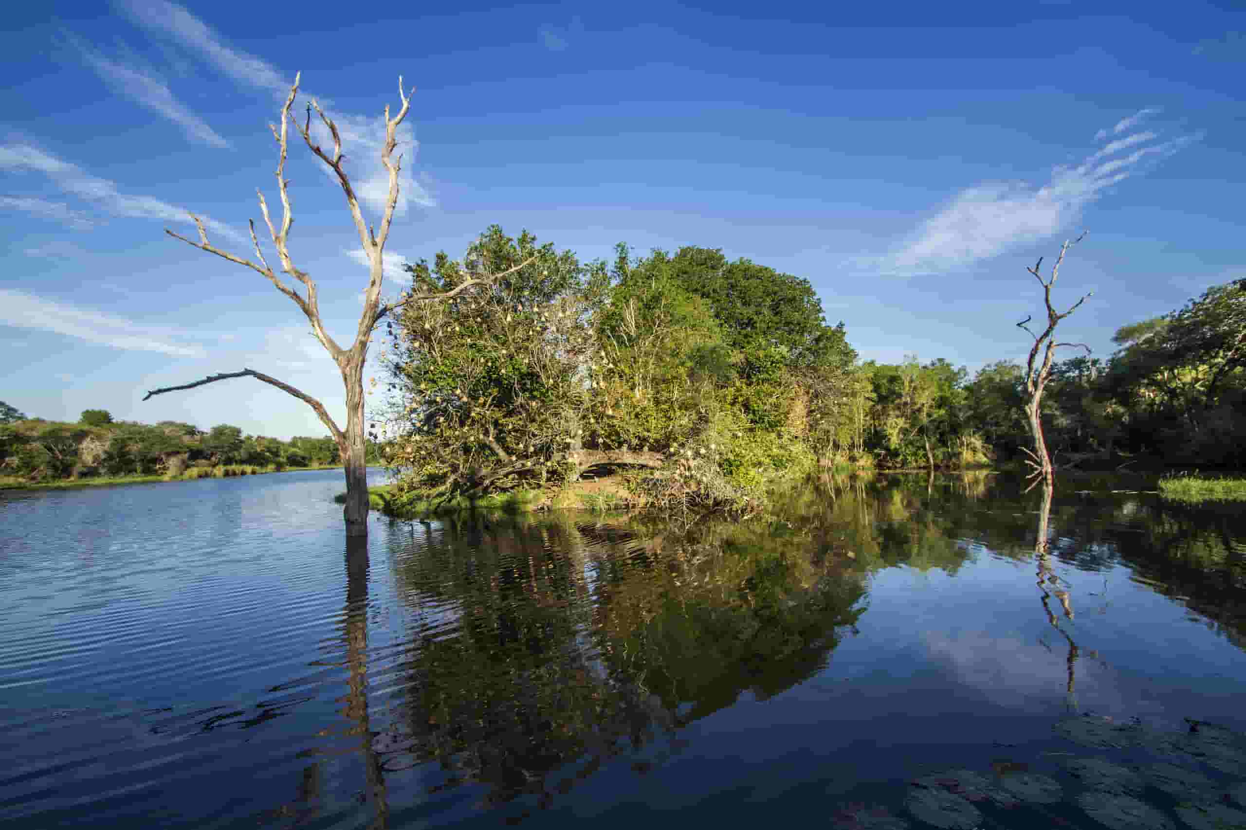 Trova voli economici to Skukuza