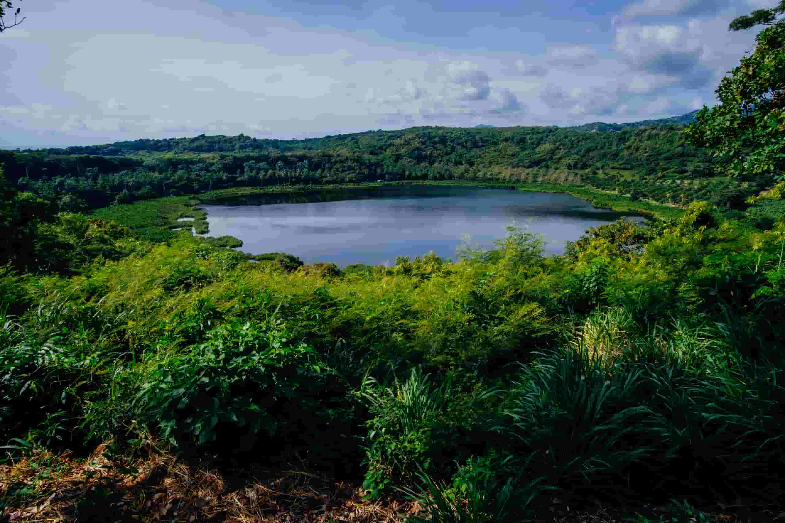 Keressen olcsó repülőjegyeket St George’sba