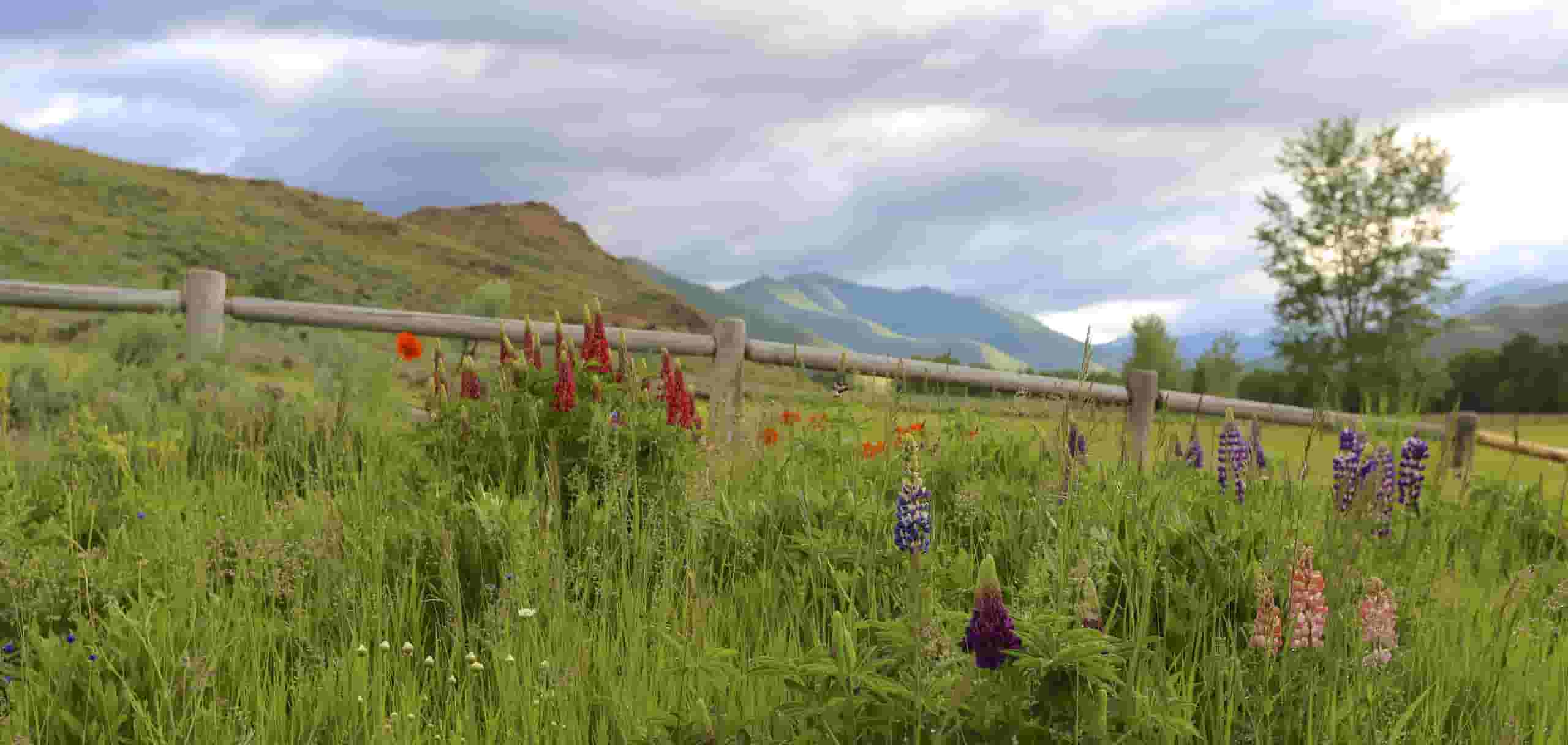 Find cheap flights to Sun Valley