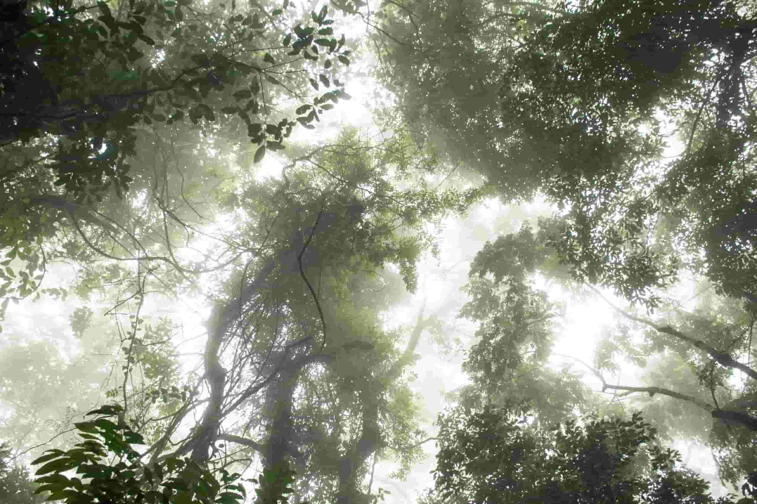 Find cheap flights to Tabora