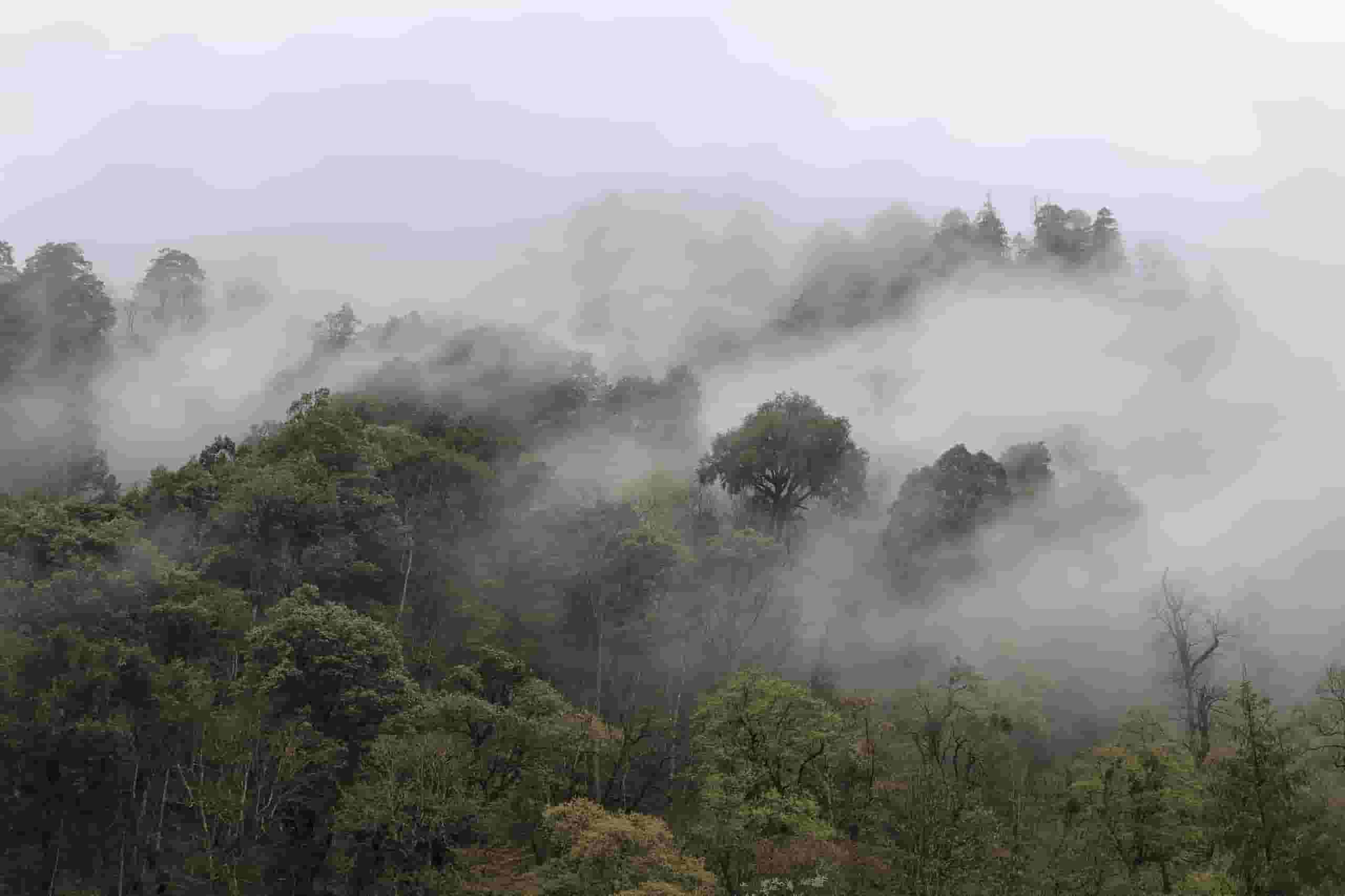 חיפוש טיסות זולות to Tacheng Prefecture