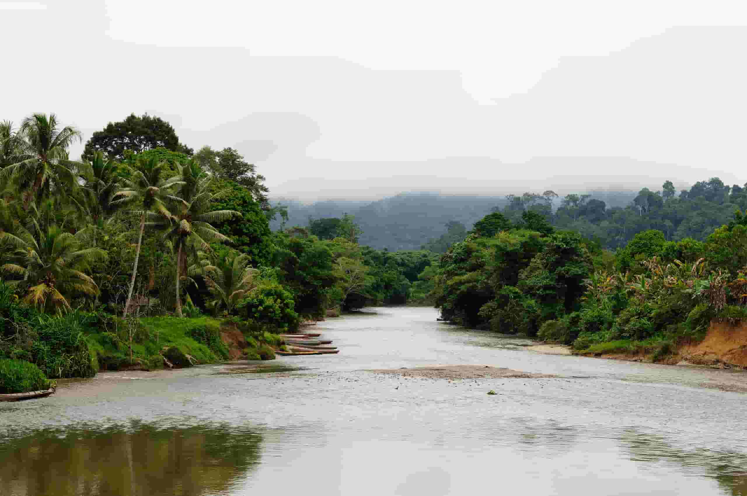 Find cheap flights to Tanjung Selor