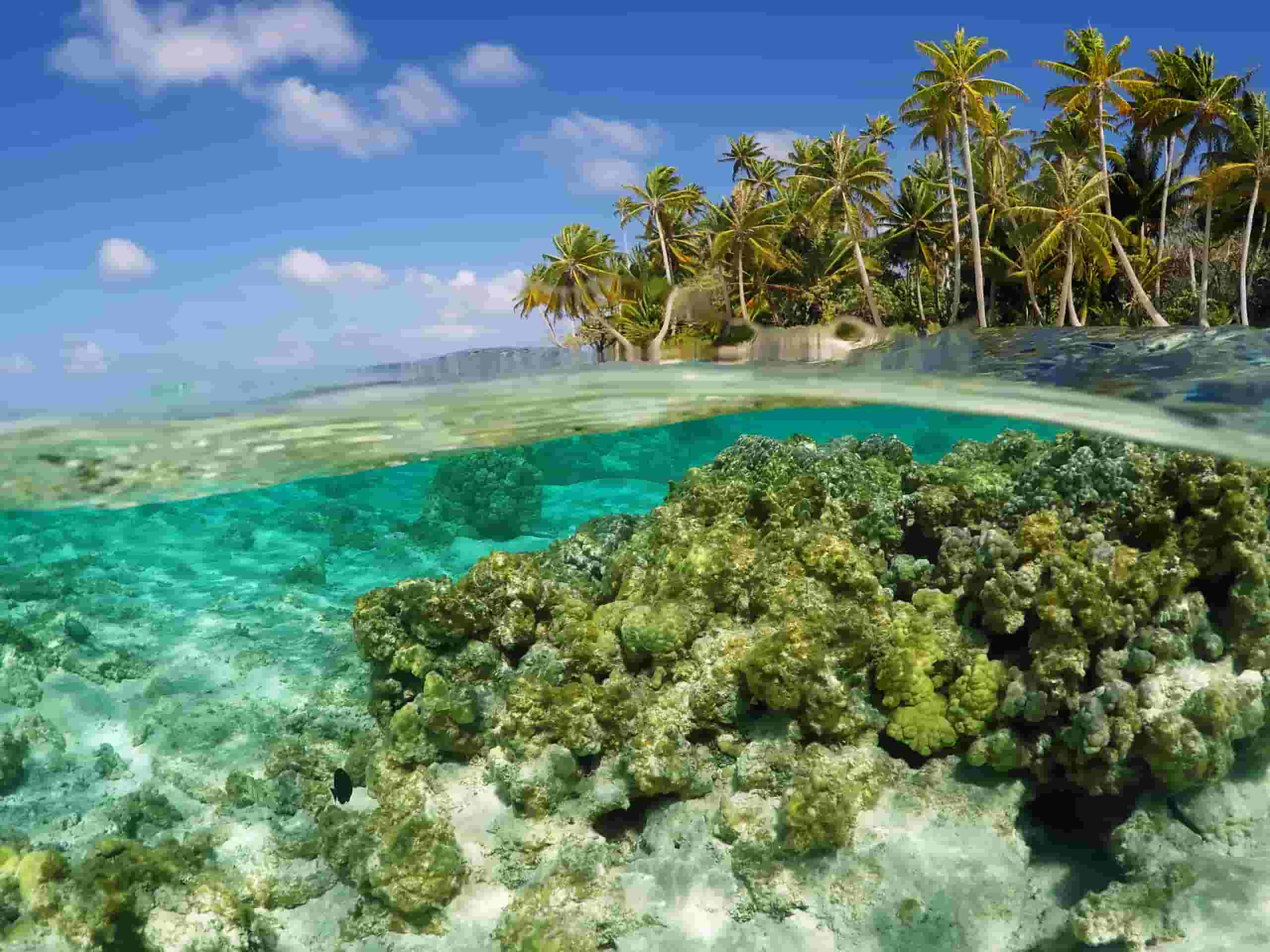 Trova voli economici per Tatakoto