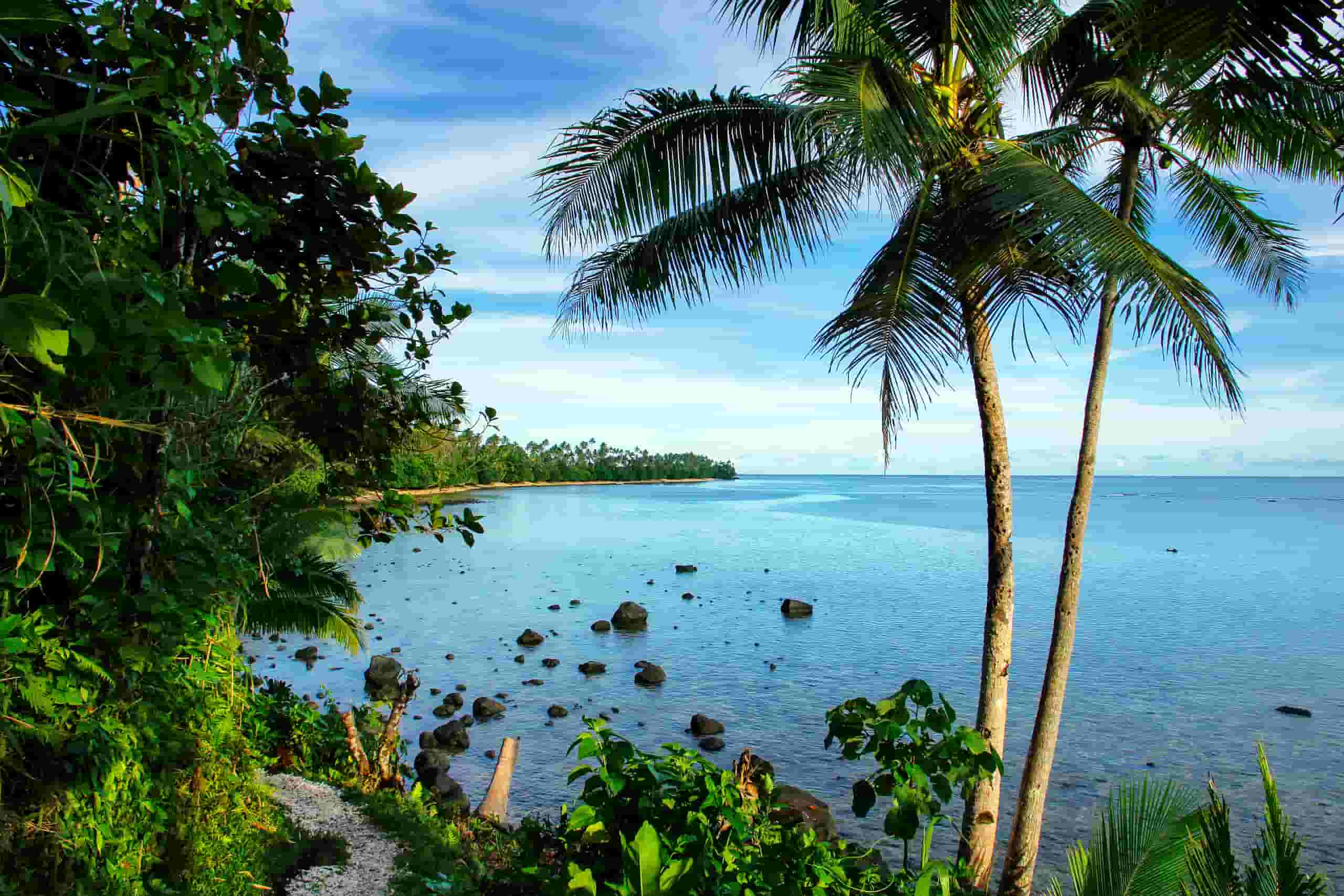 Find cheap flights to Taveuni