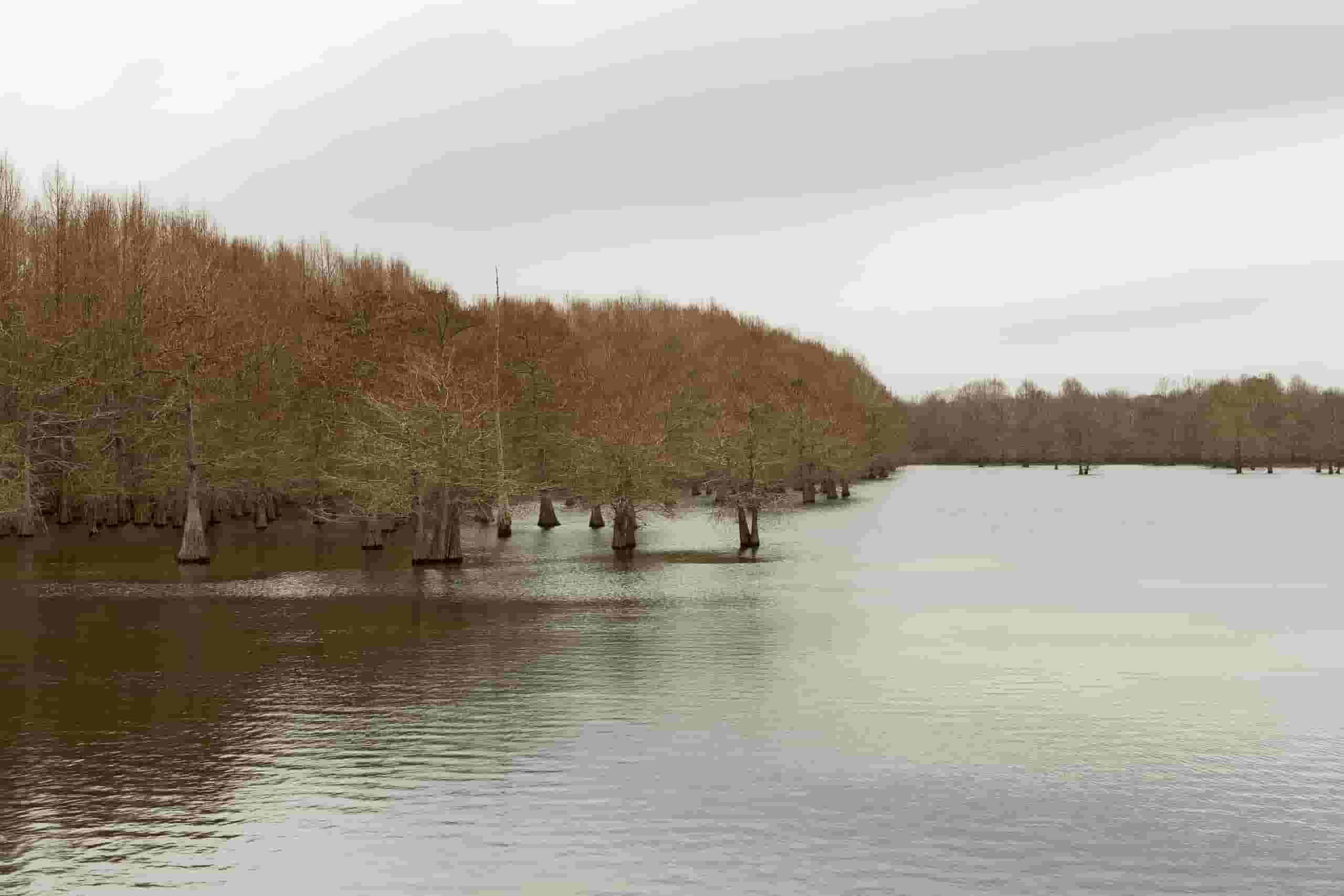 Wyszukaj tanie loty to Texarkana