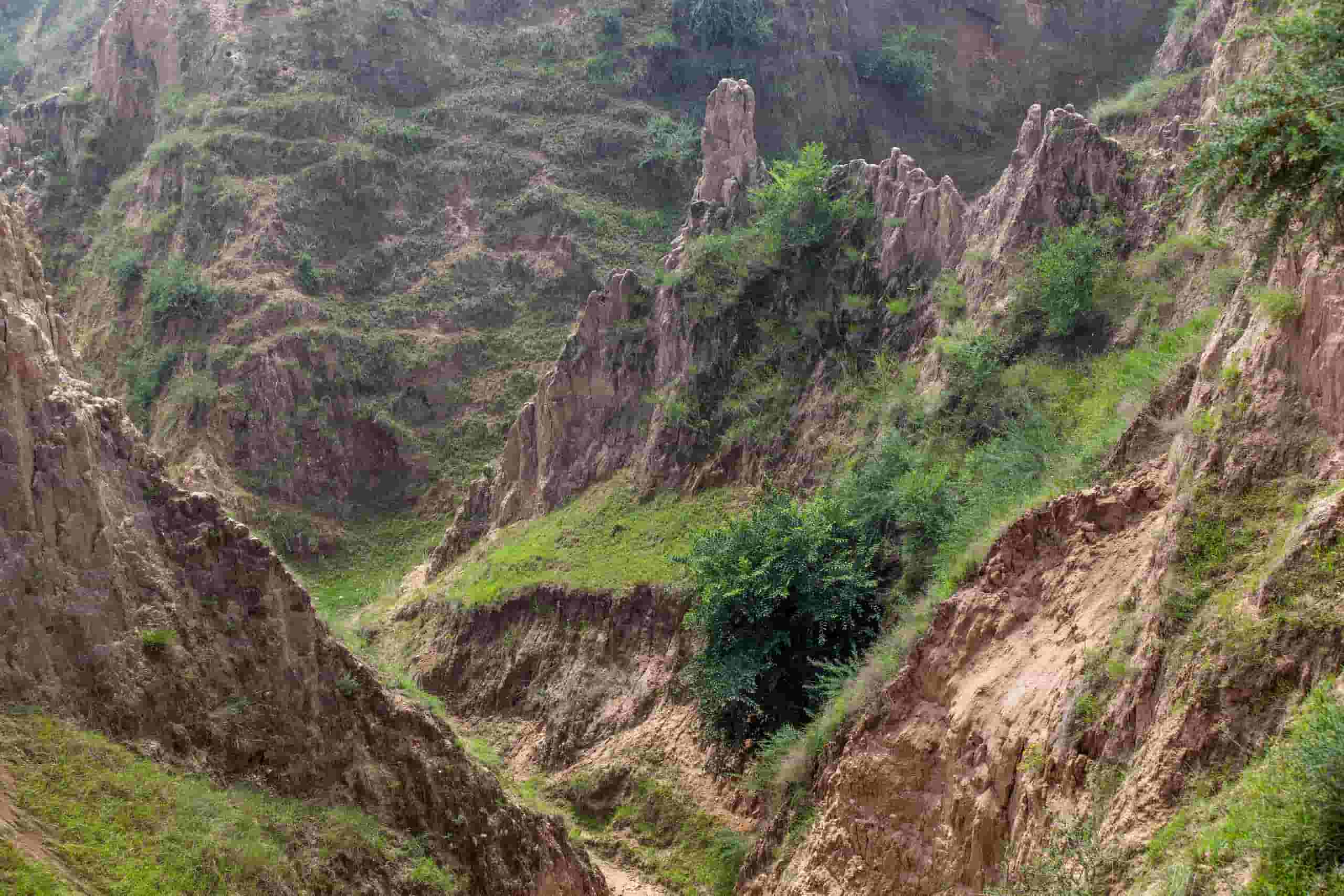 通遼行きの格安航空券を検索