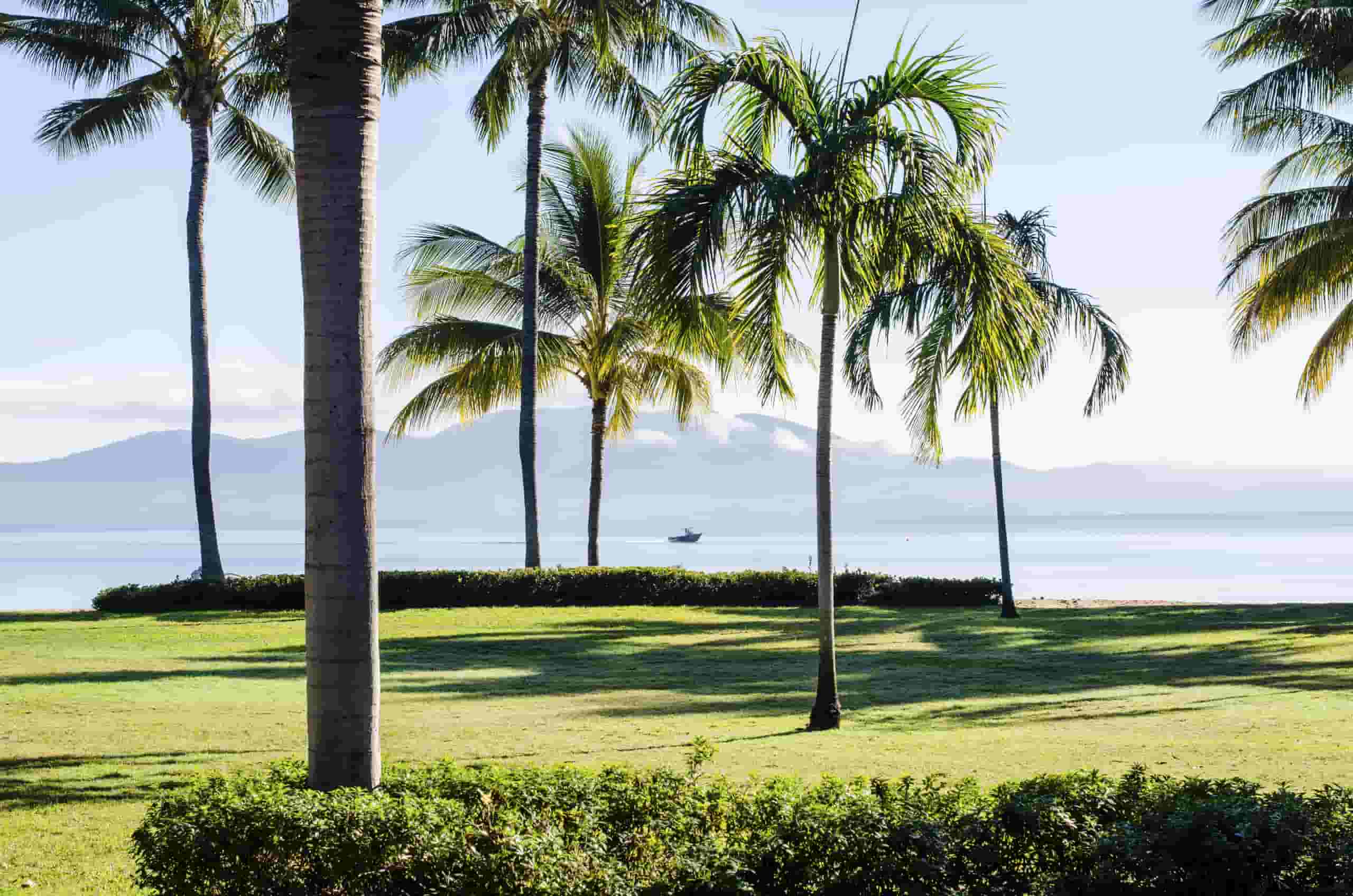 Pronađite jeftine letove do do Taunsvila počev od 83,324 din.