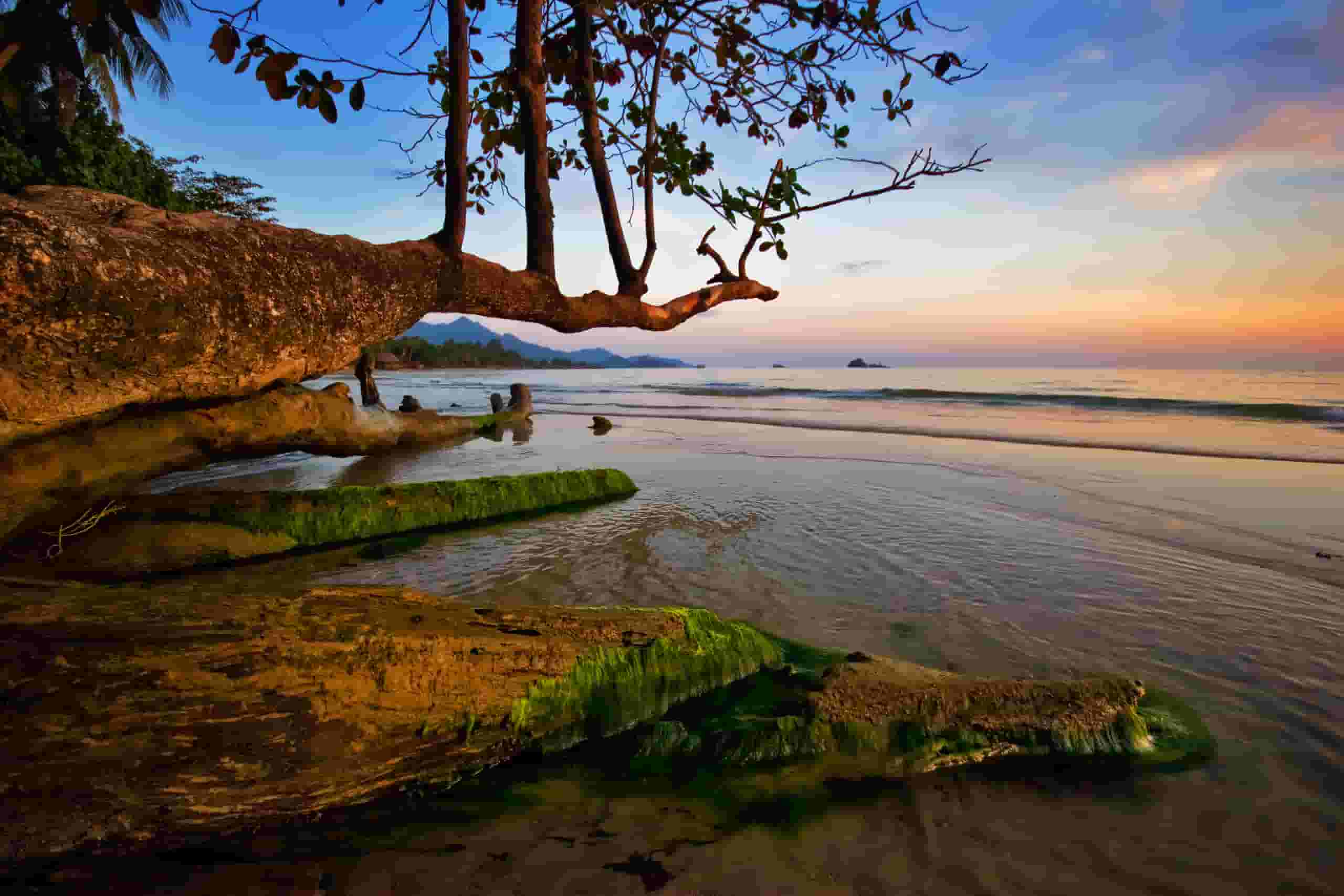 Keressen olcsó repülőjegyeket to Trat Province