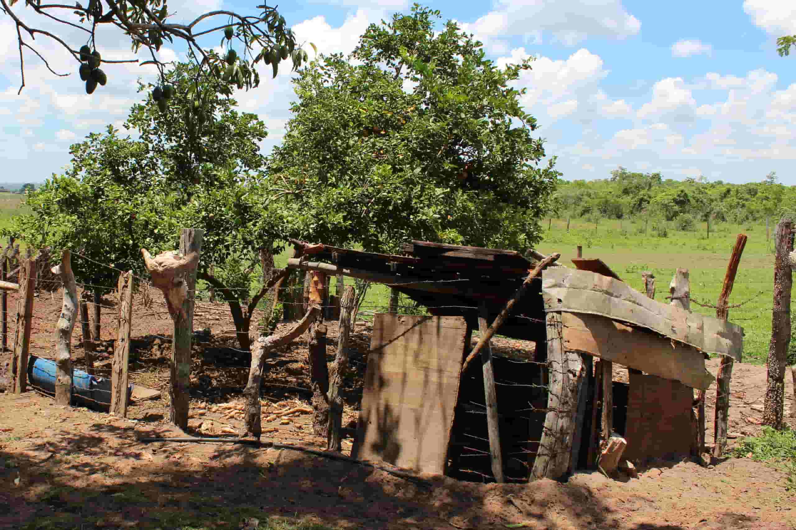 Find billige flybilletter to Três Lagoas