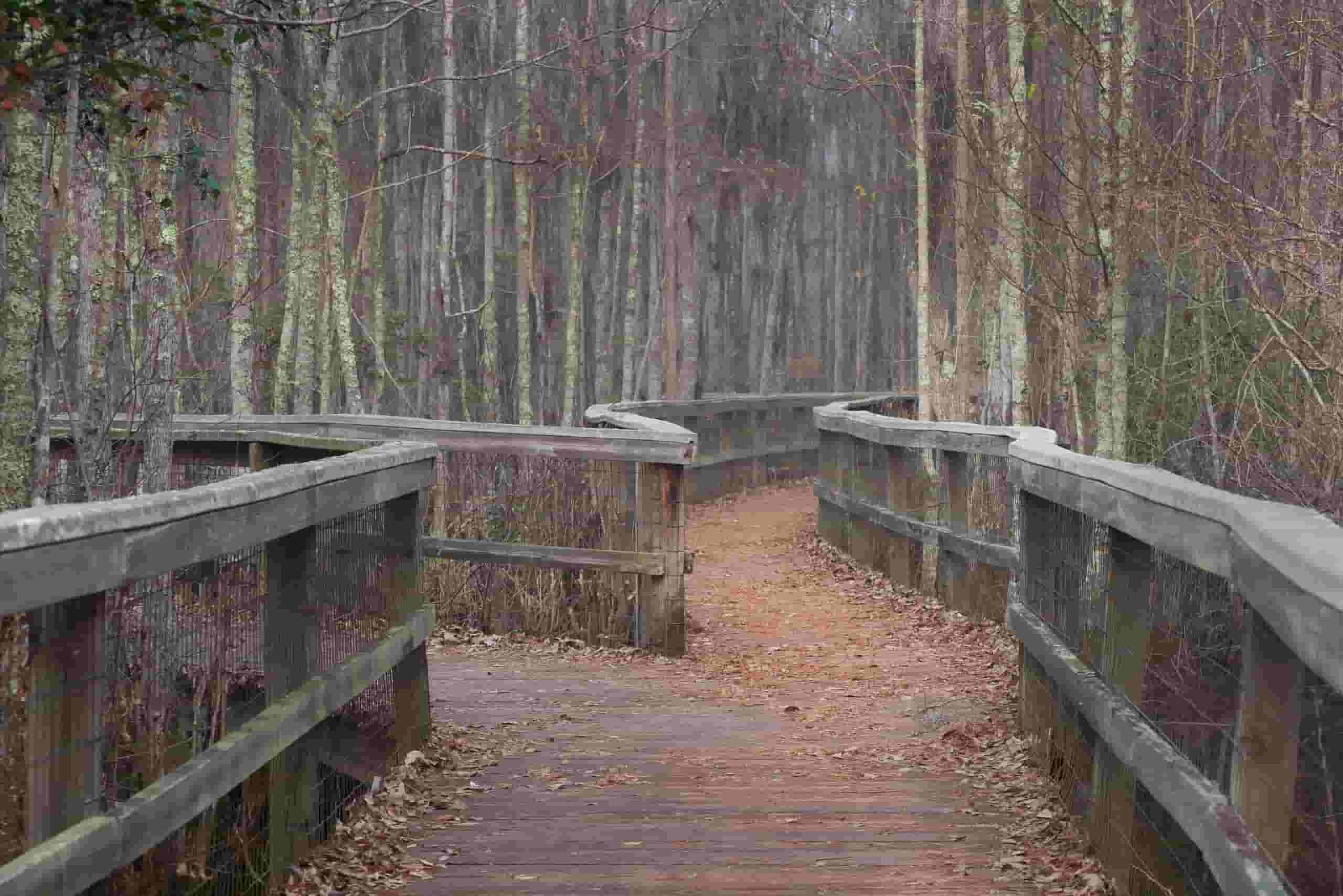 Find cheap flights to Valdosta