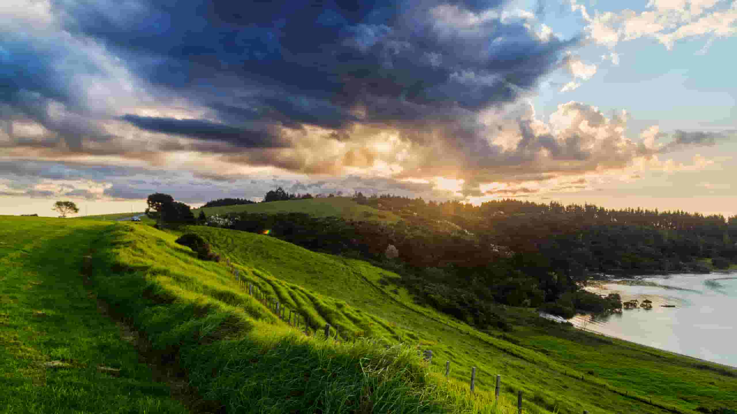 Find billige flybilletter to Waitangi