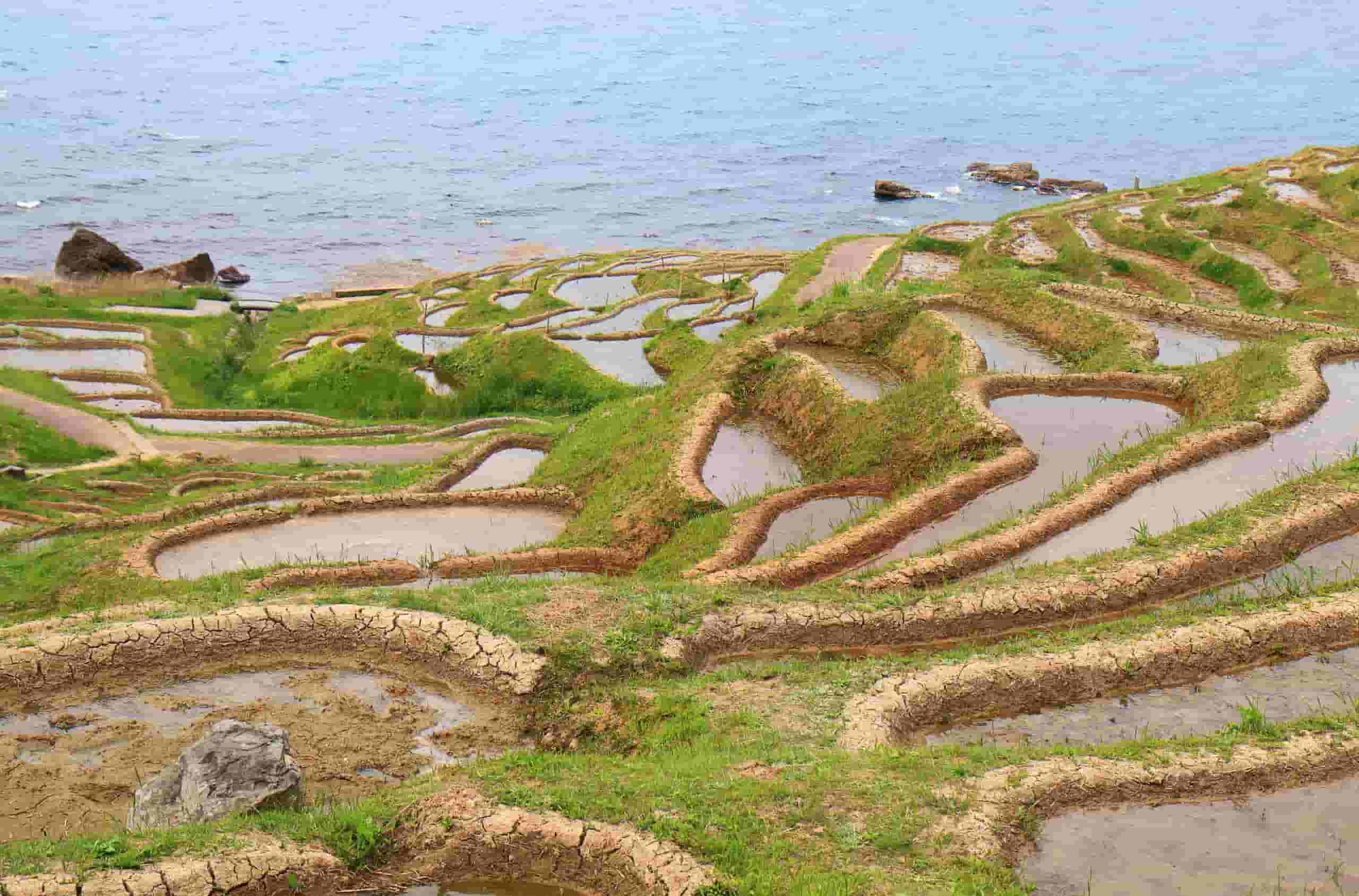 Find cheap flights To Wajima