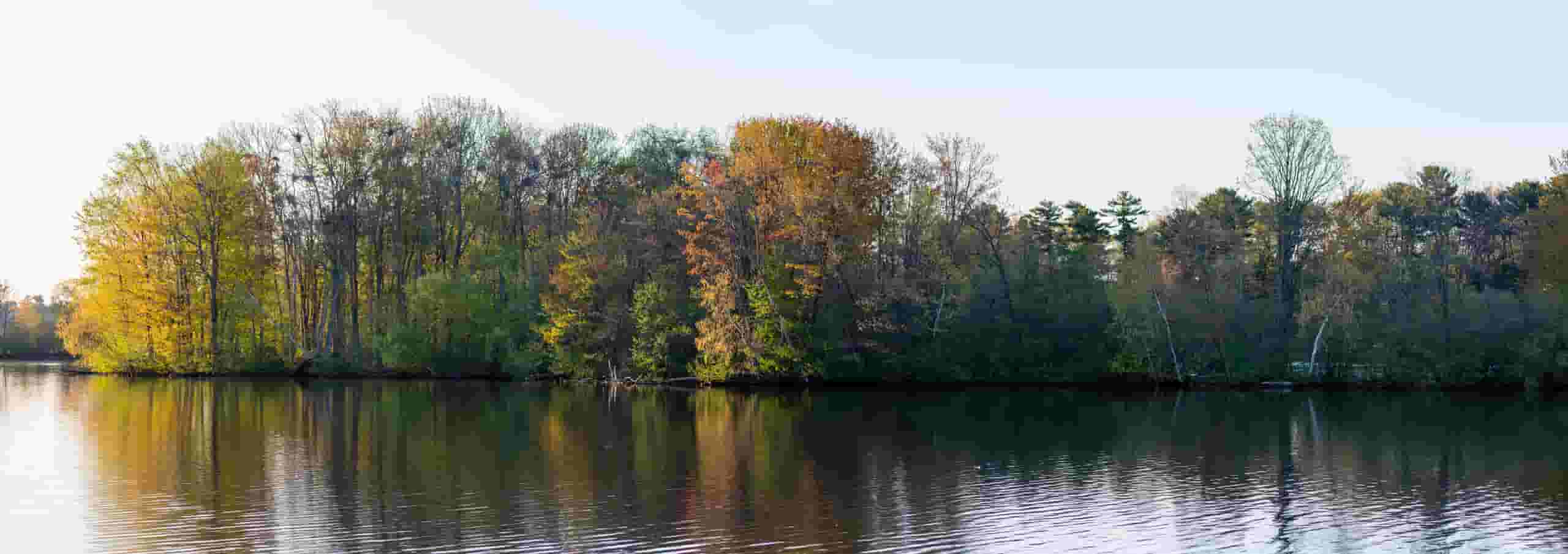 Trova voli economici to Wausau