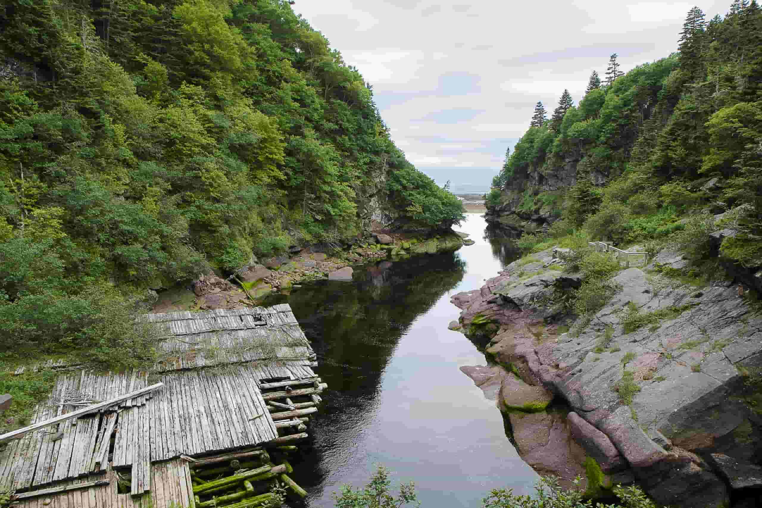Знайти дешеві рейси to Wolf Point