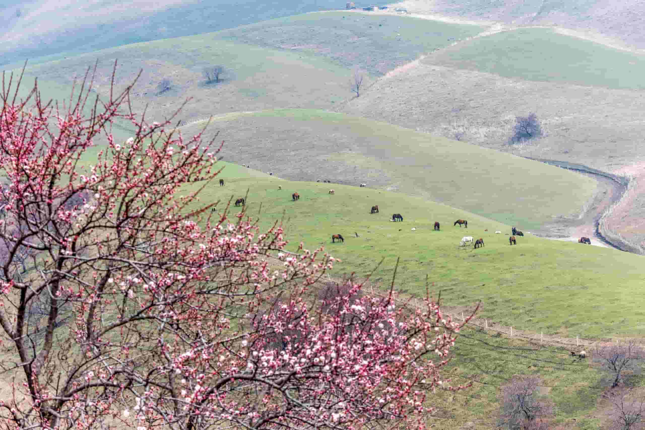 Find cheap flights to Xinyuan County