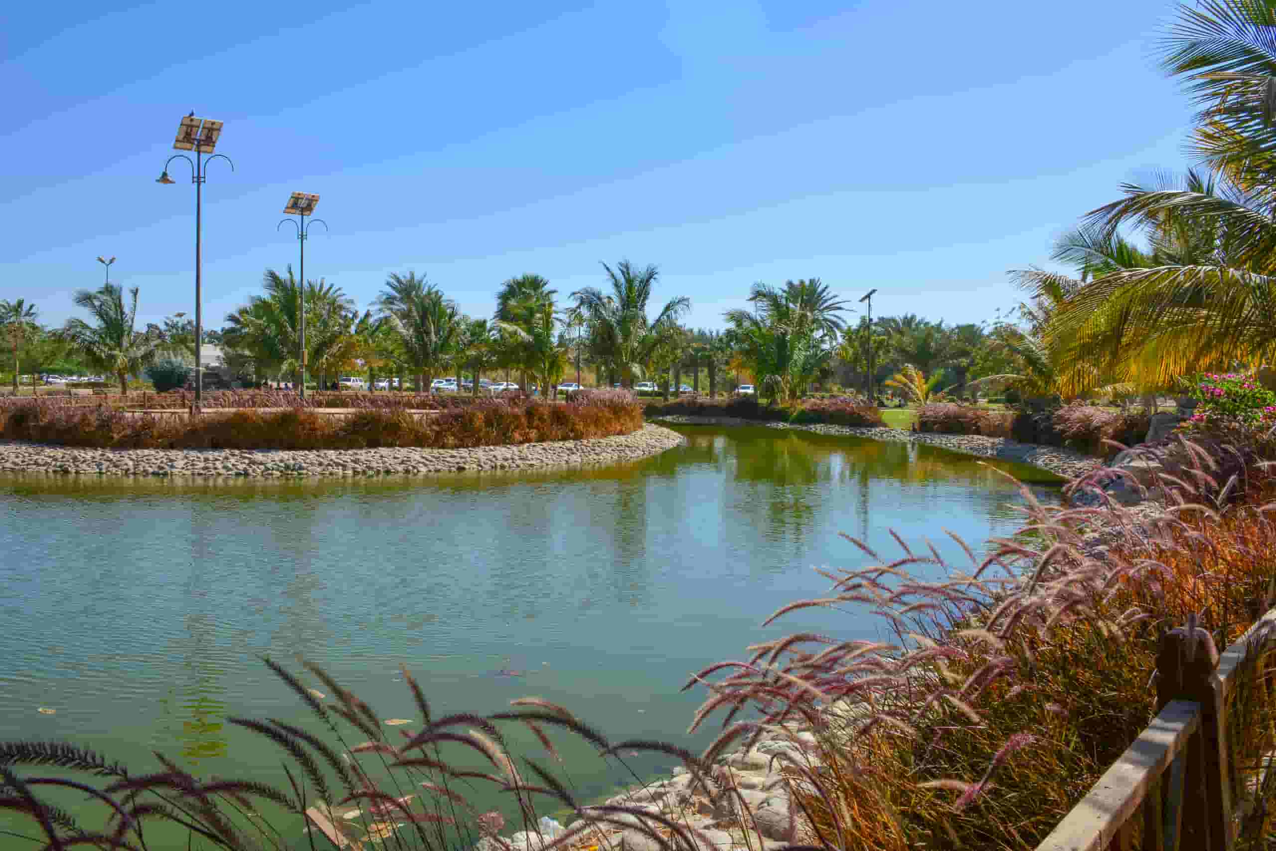 Etsi halpoja lentoja to Yanbu