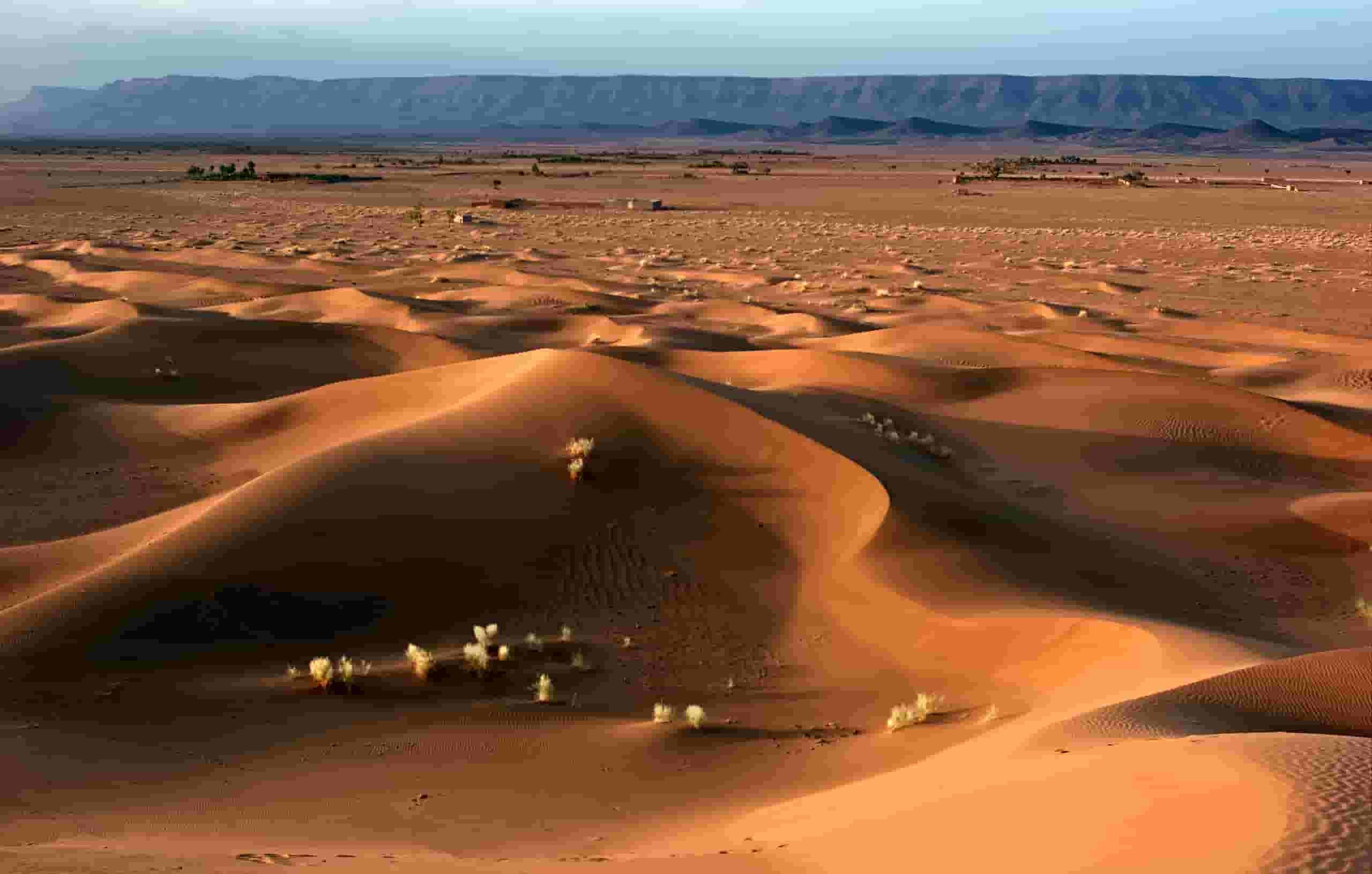 Find cheap flights to Zagora