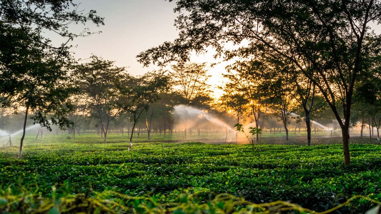 Bagdogra - Dibrugarh