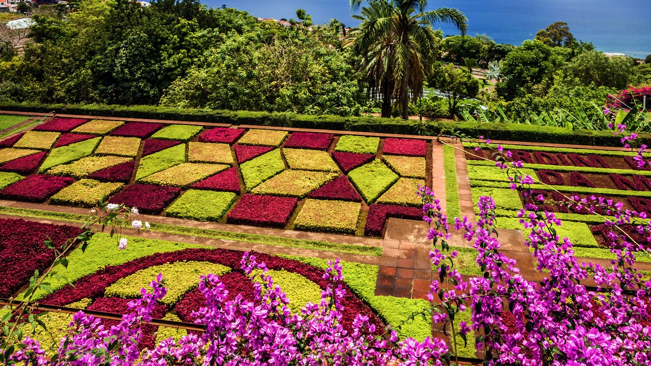 Porto - Funchal