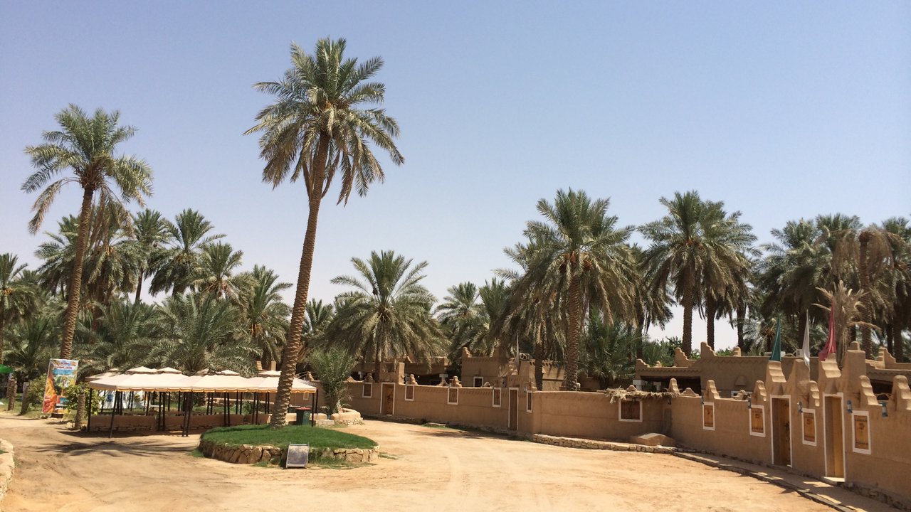 Medina - Al-Qassim Region