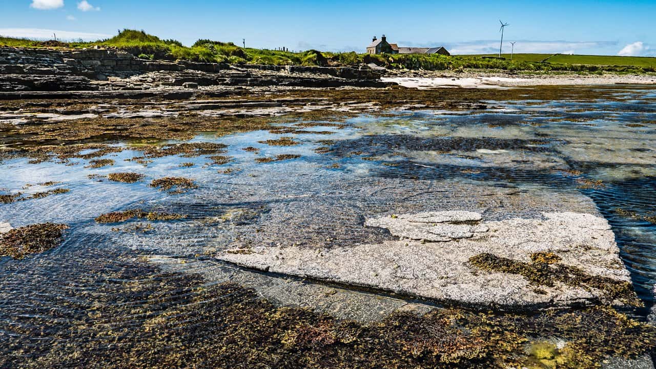 North Ronaldsay - Papa Westray