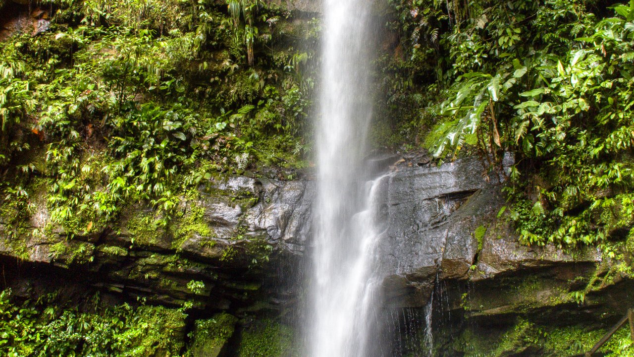Lima - Tarapoto