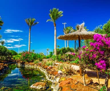 Levné lety na trase Katovice - Fuerteventura