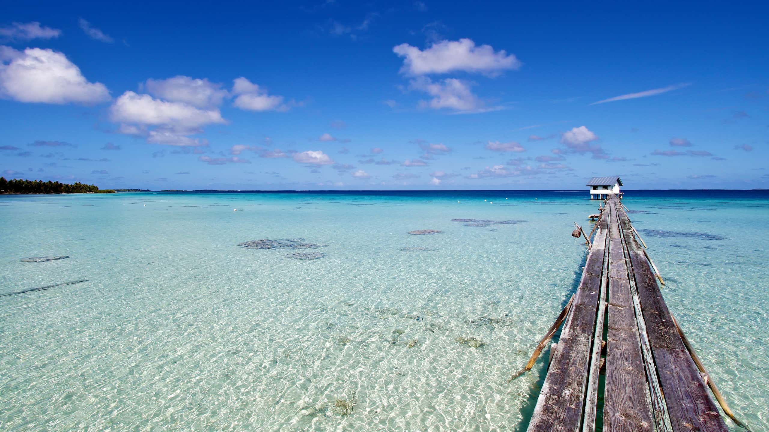 Cheap flights from Cebu  from 