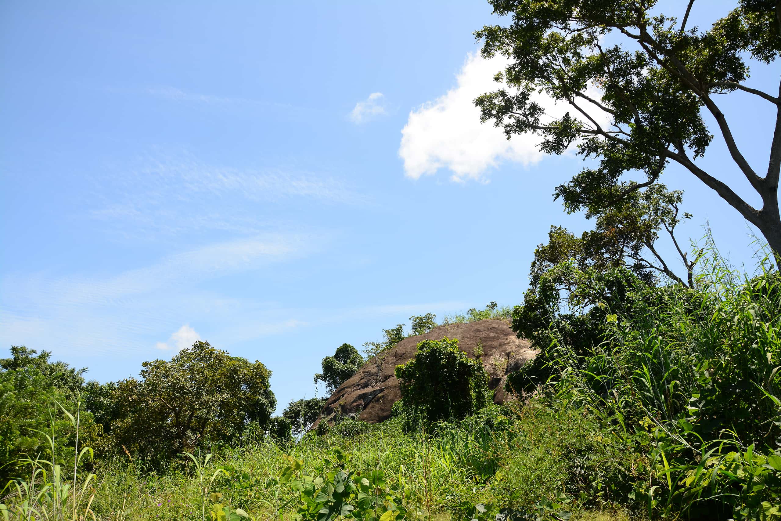 Voli economici da Lagos ad Akure a partire da 