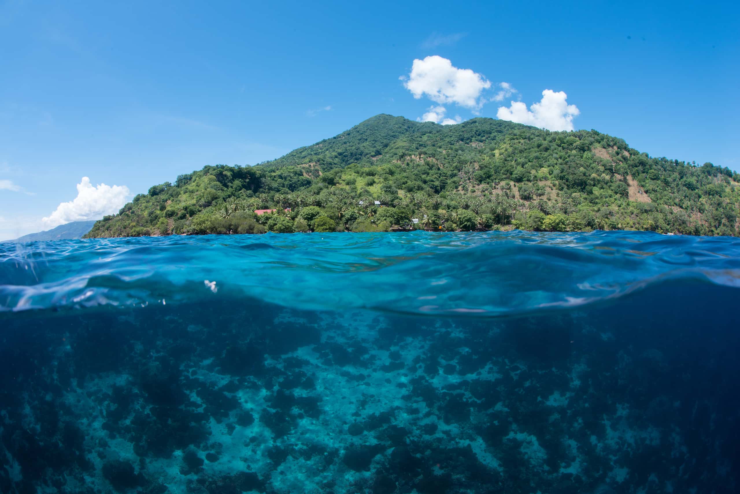 Cheap flights from Denpasar to Alor Island from $162