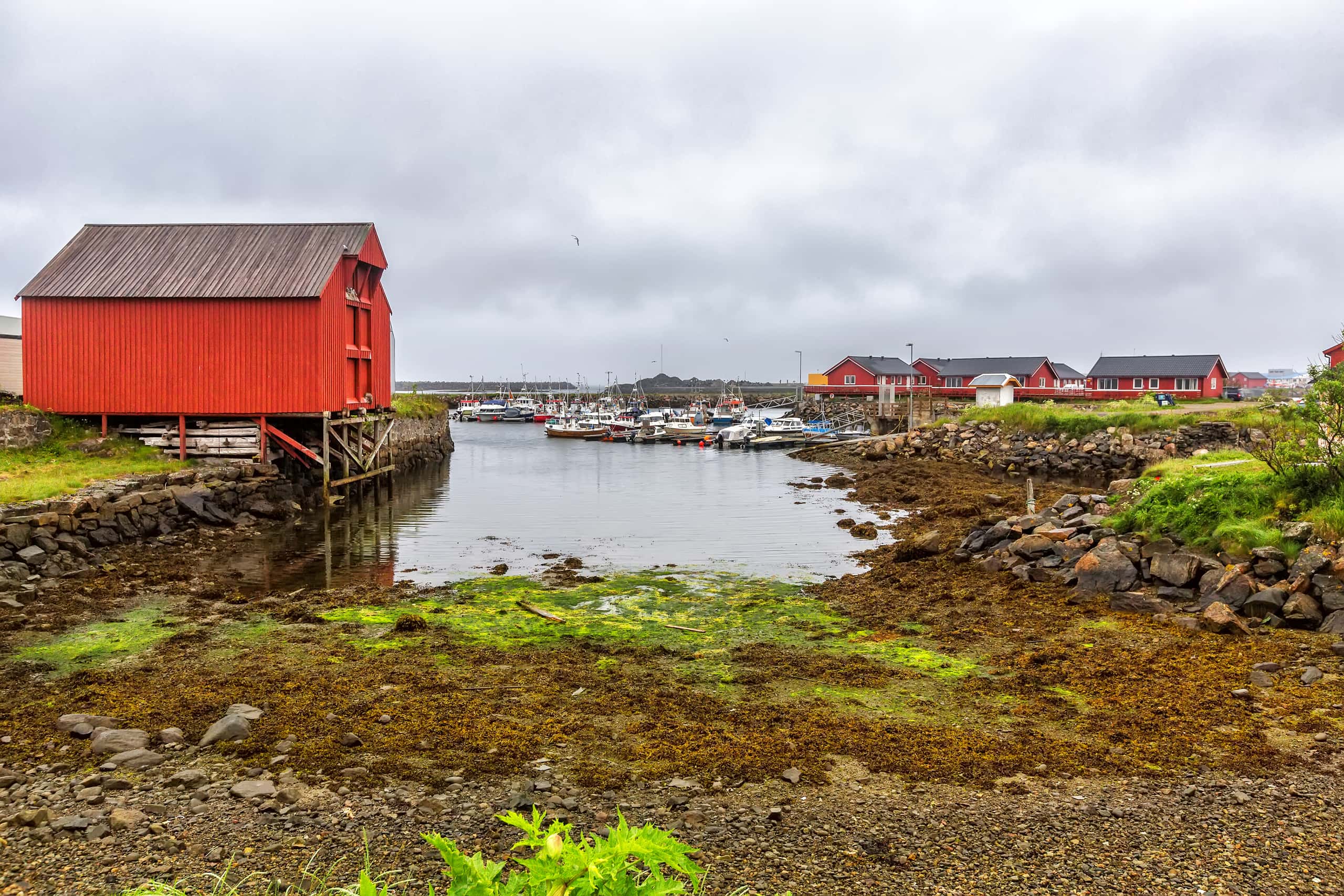 Billige flybilletter fra München til Andenes fra kr 2,853