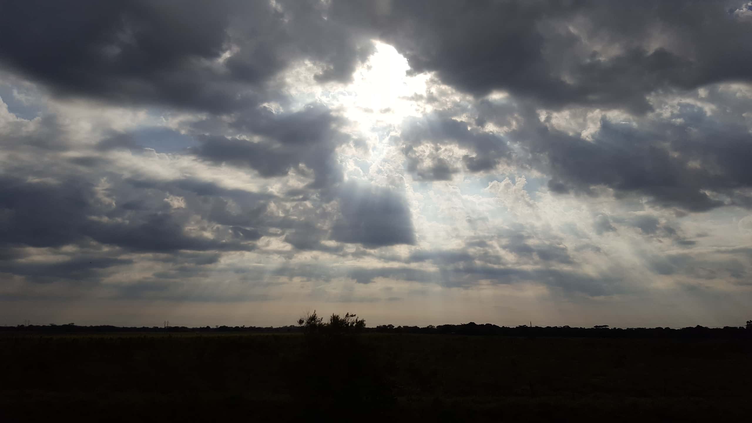 Vuelos baratos de Tapachula a Arauca a partir de 269 €