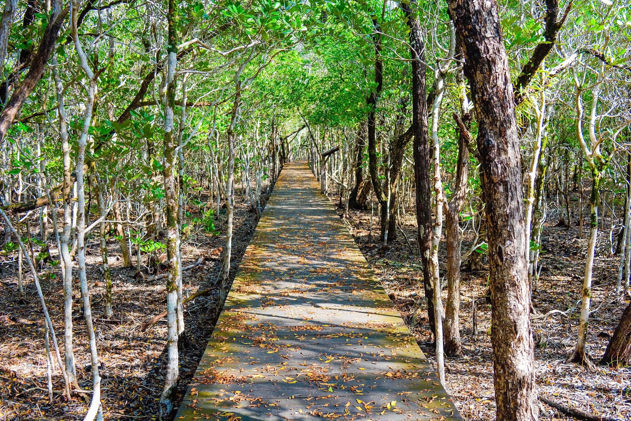 자카르타 출발 발릭파판 도착 최저가 항공권 ¥14,574부터