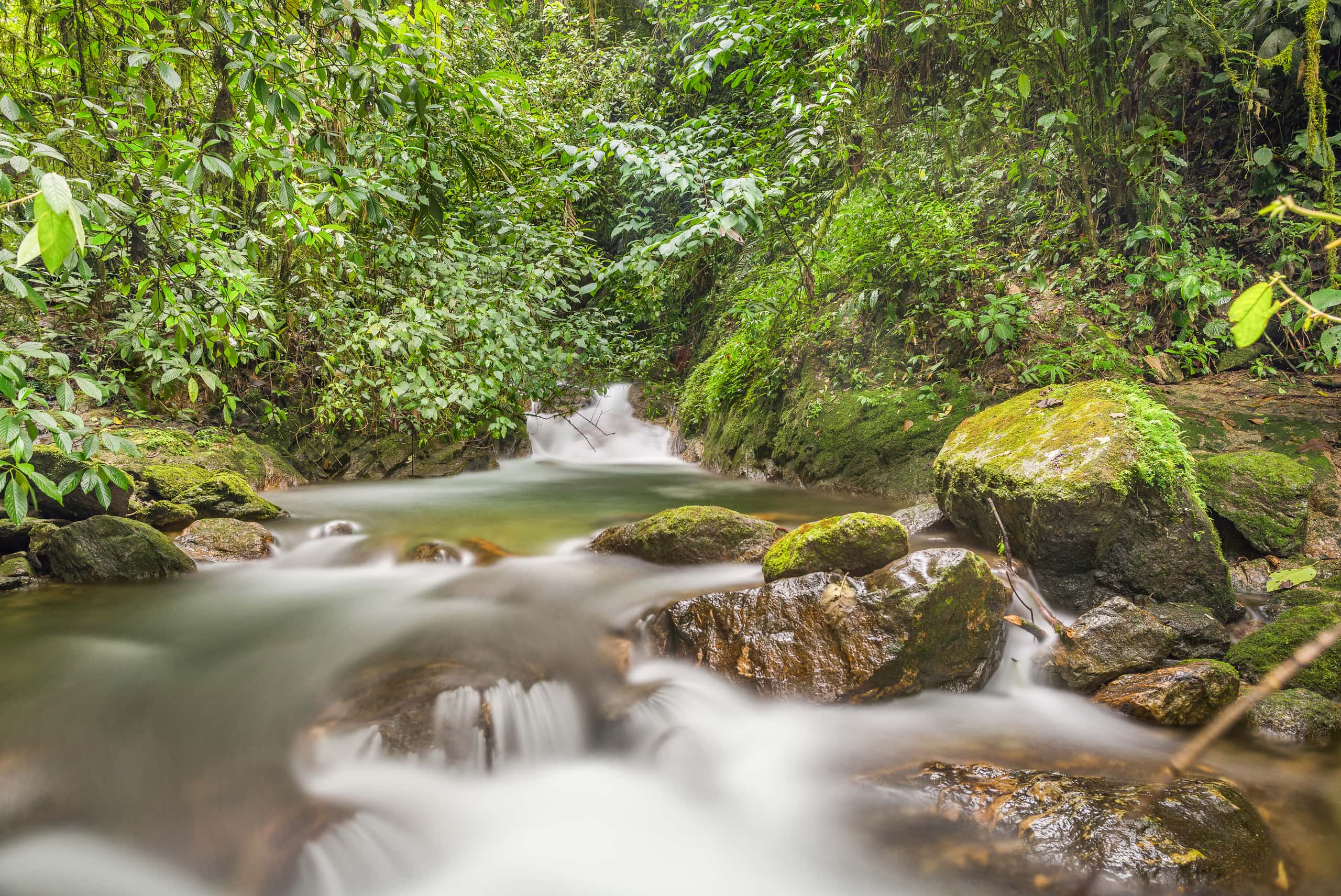 Cheap flights from Caracas  from 