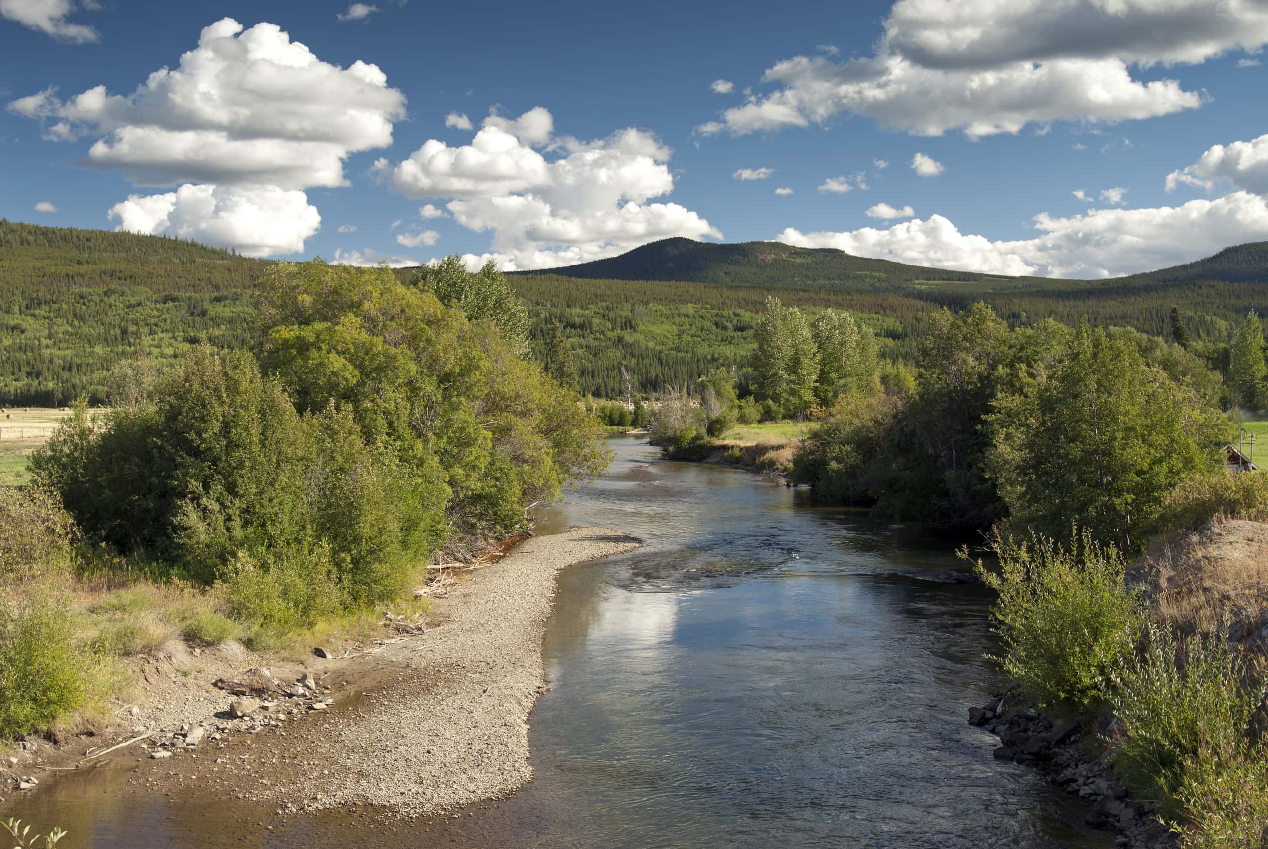 Günstige Flüge von Vancouver nach Bella Coola ab SFr. 210