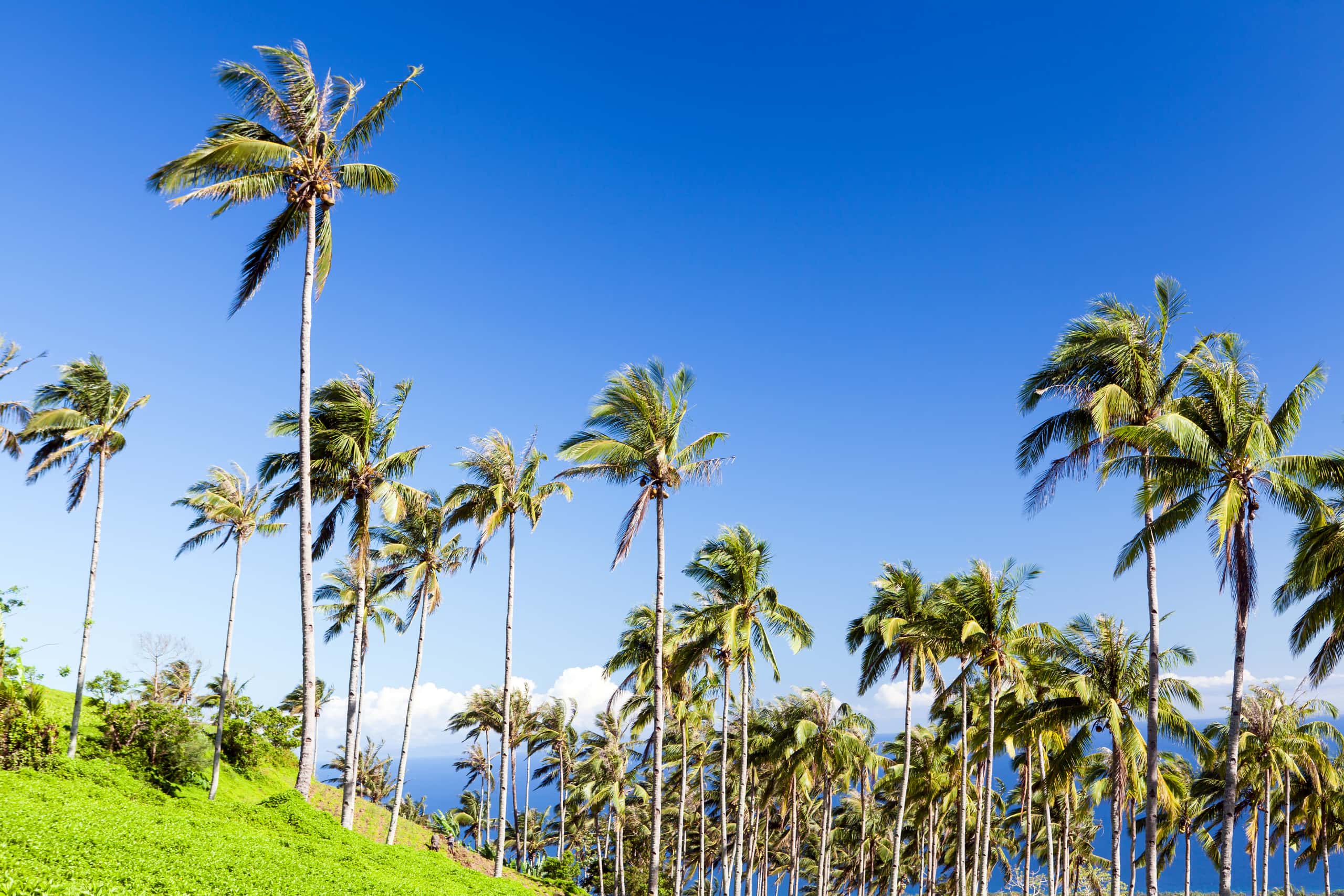 Cheap flights from Jakarta to Buka Island from 