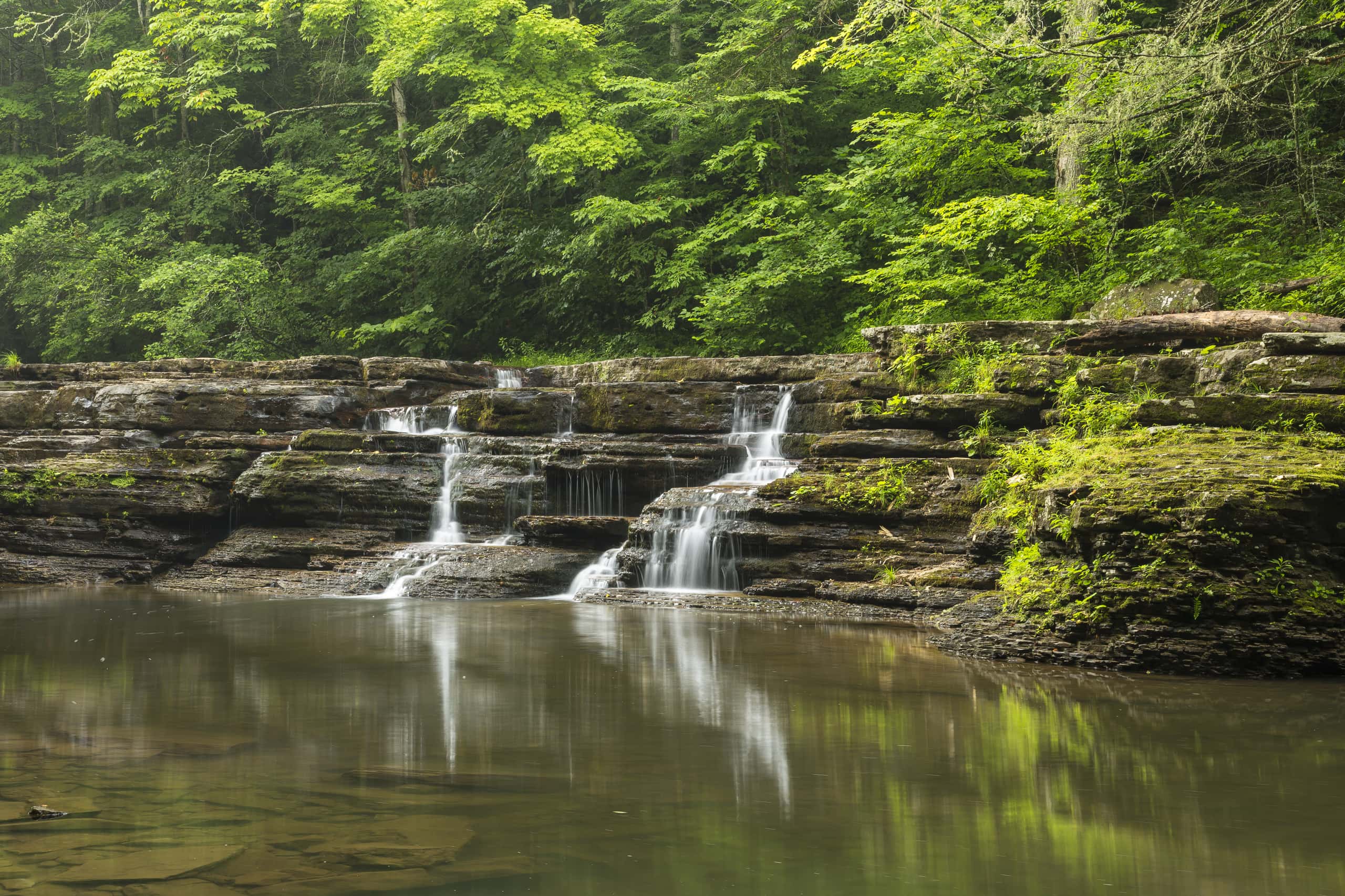 Vols pas chers depuis Edmonton to Campbell River à partir de CA$180