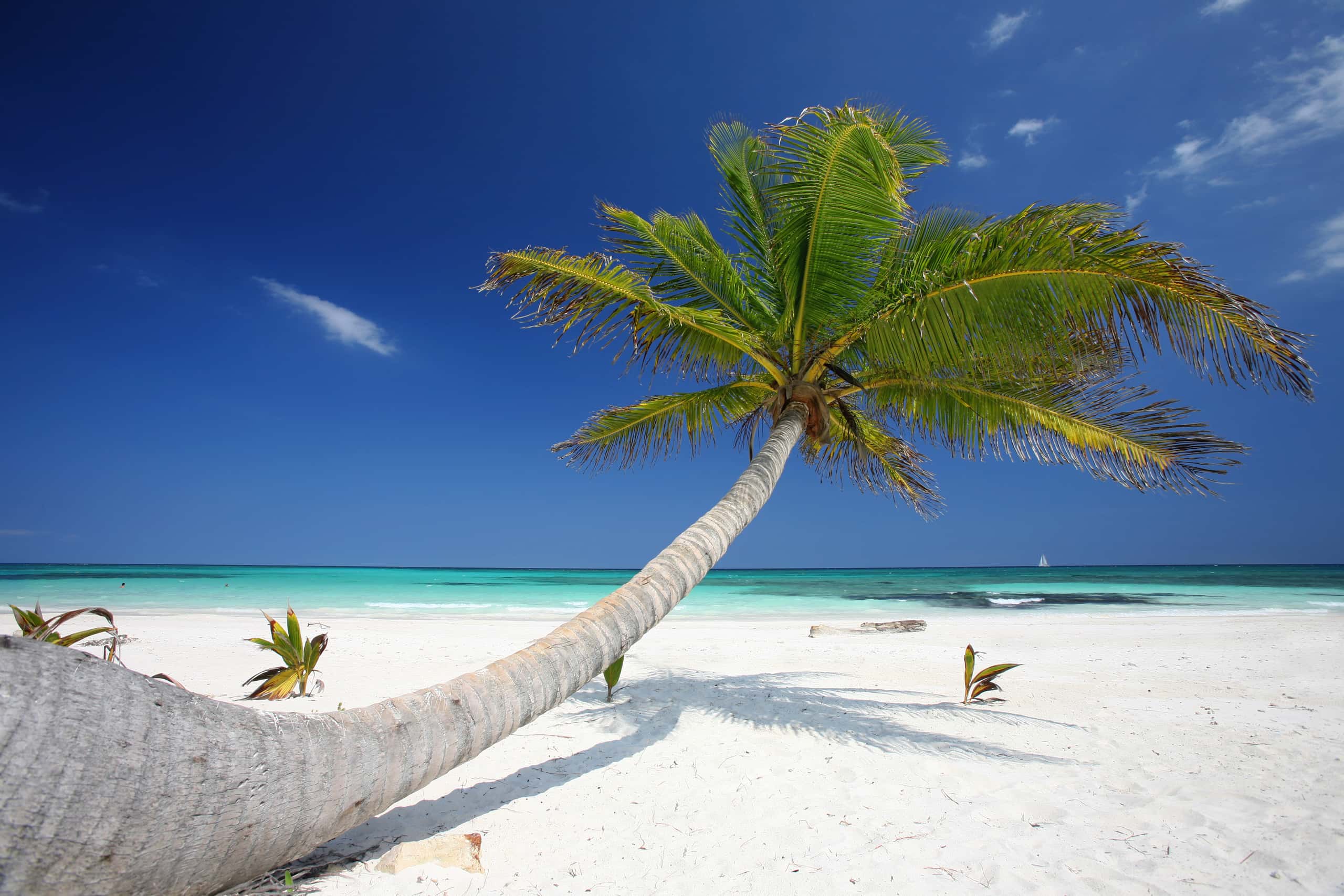 Cheap flights from Toronto to Cancún from CA$188