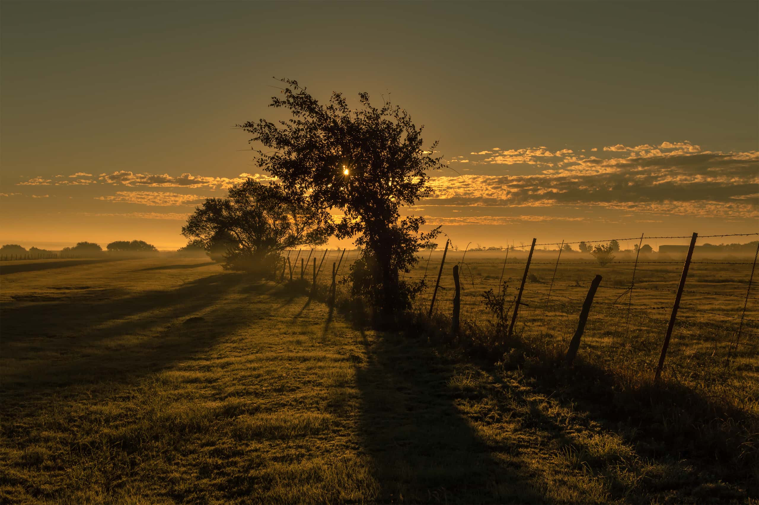 Vuelos baratos de Tijuana a Clovis a partir de 308 €