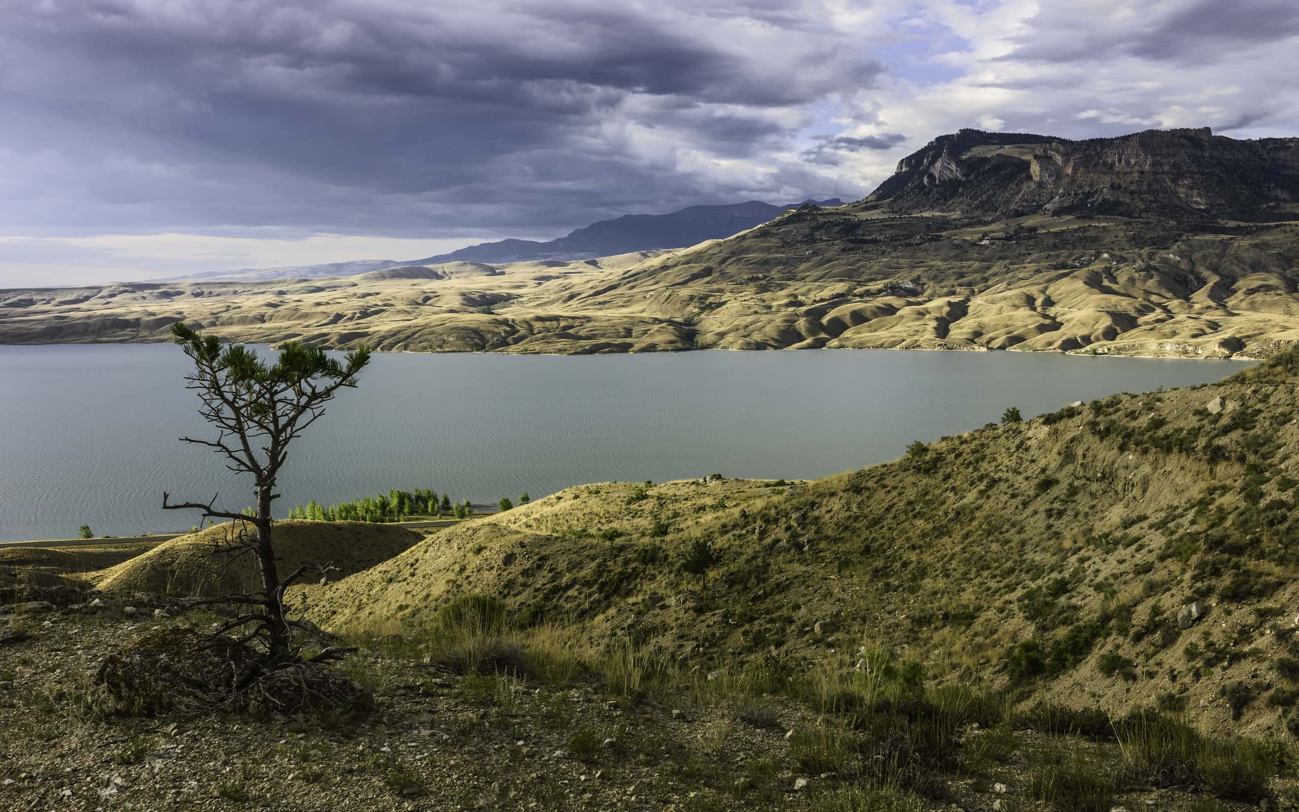 Cheap flights from Whitehorse to Cody from 