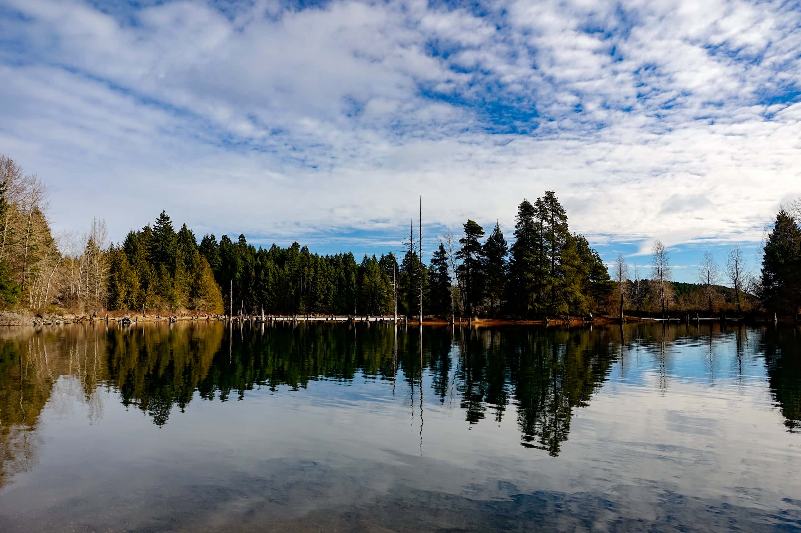 Cheap flights from Hamilton to Comox from CA$124