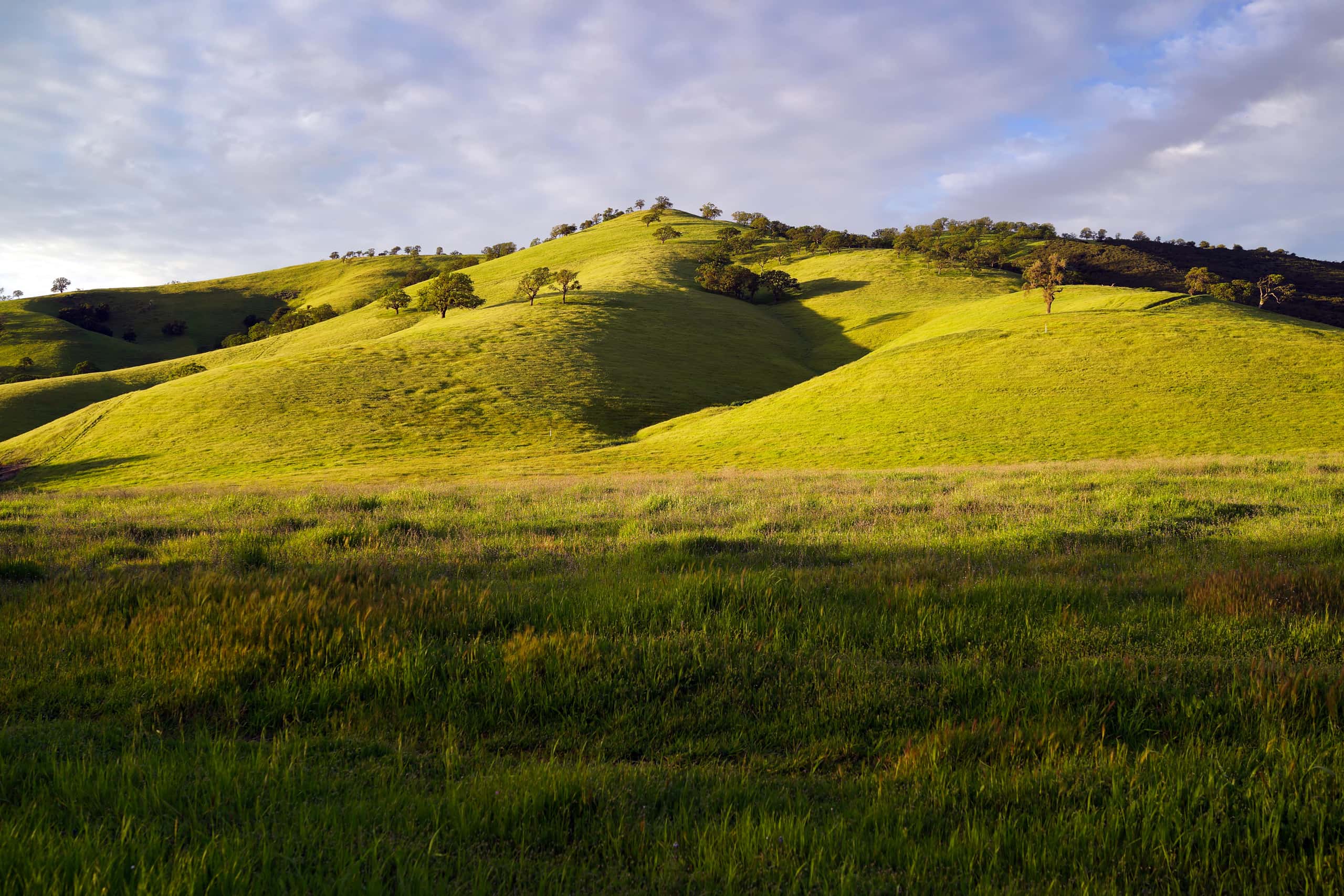 Cheap flights from Eugene to Concord from 